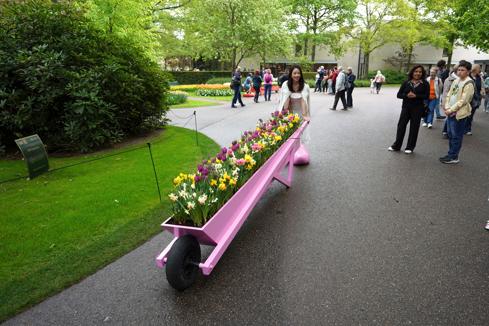 Tulip Garden I (57)