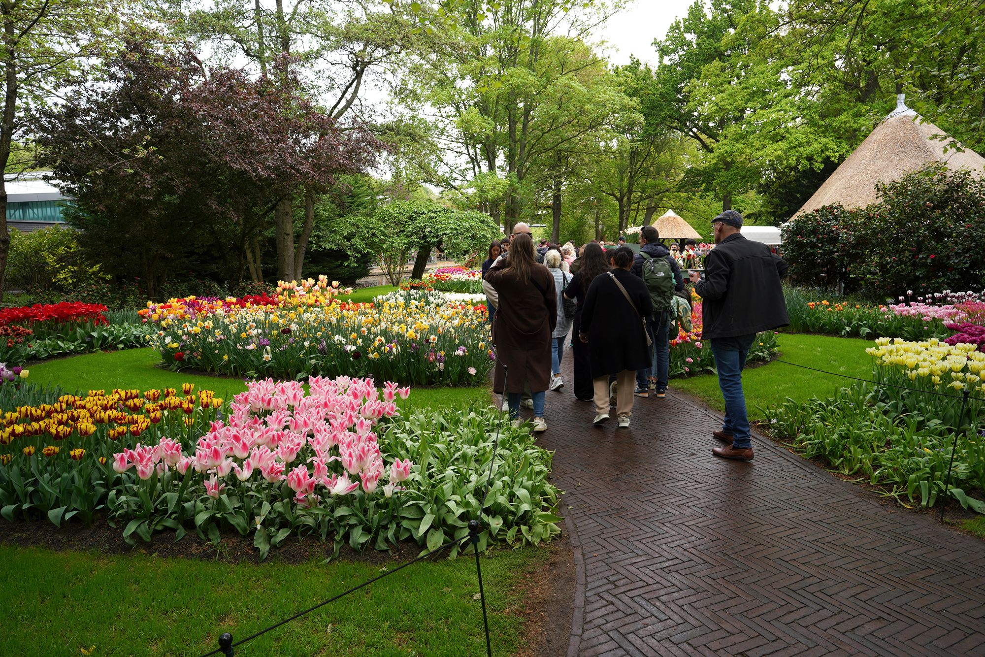 Tulip Garden I (58)