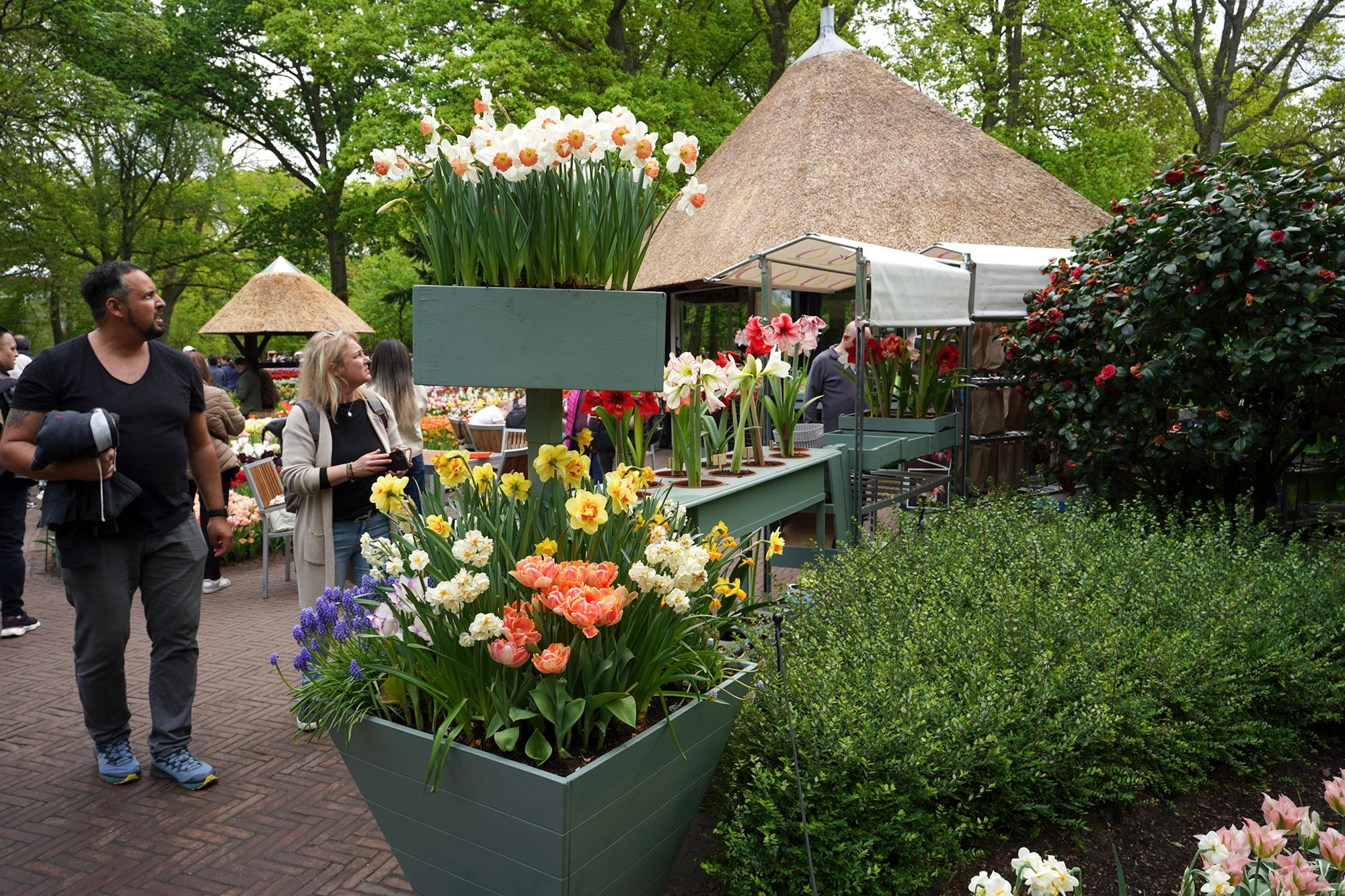 Tulip Garden I (59)