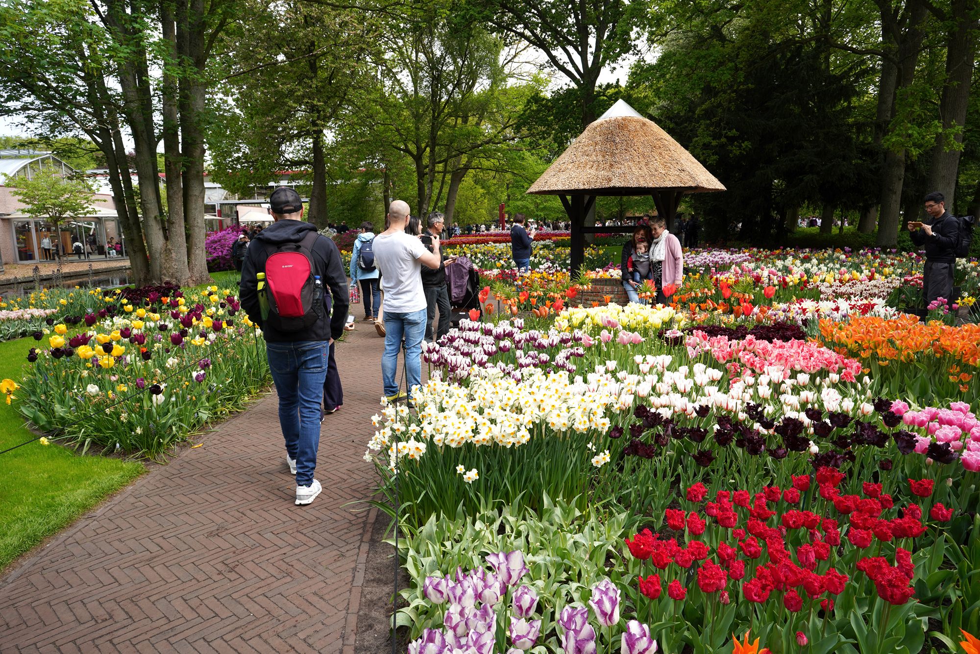 Tulip Garden I (60)