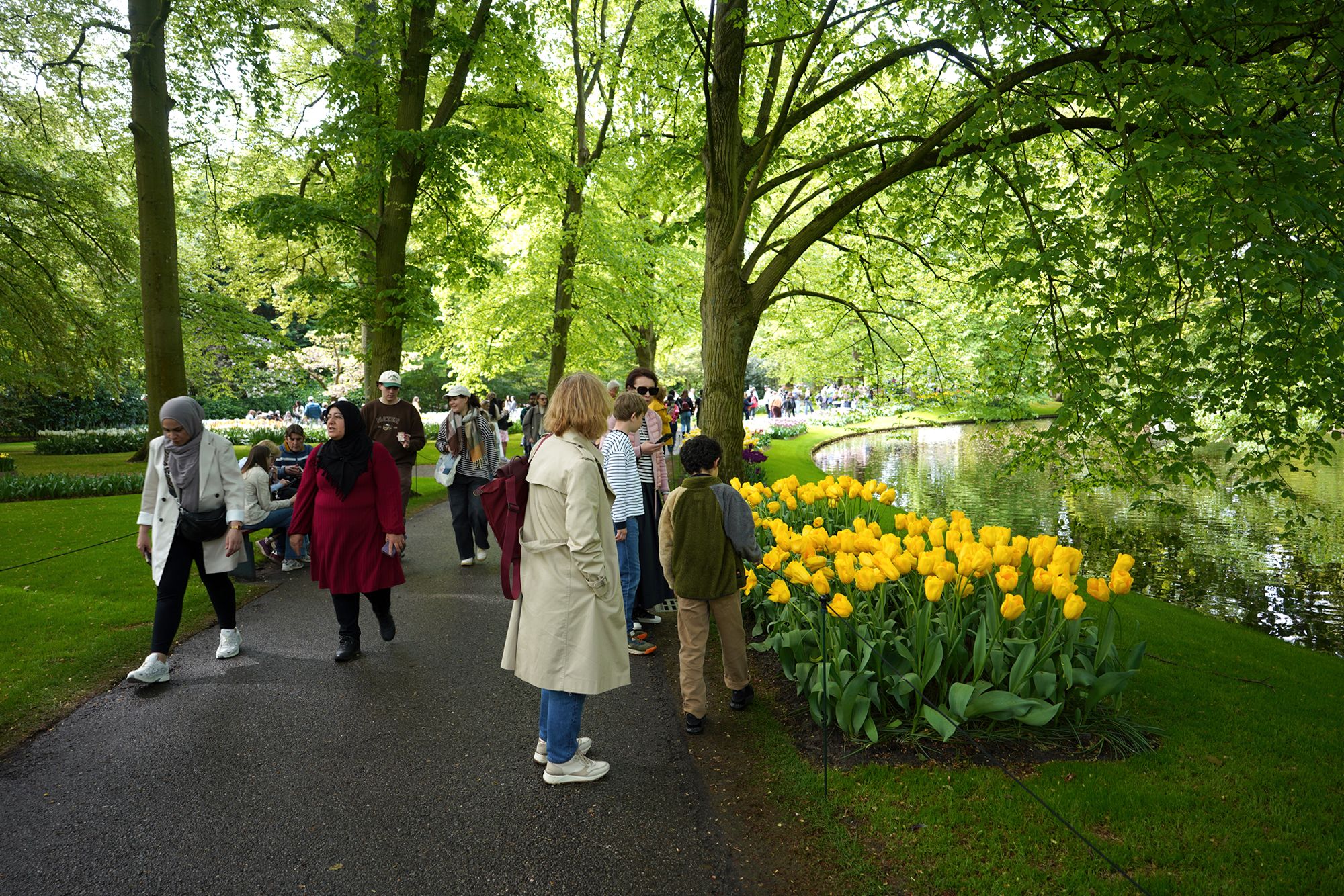 Tulip Garden I (65)