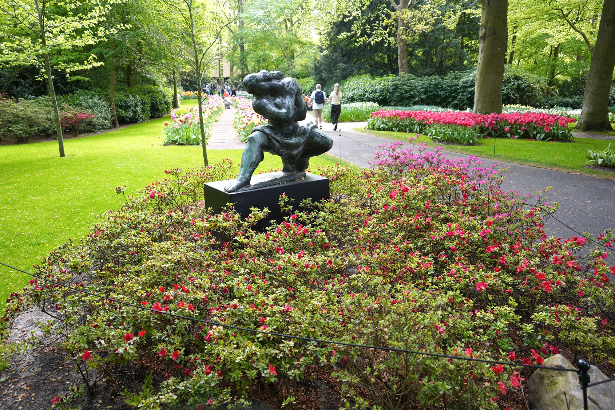 Tulip Garden I (72)