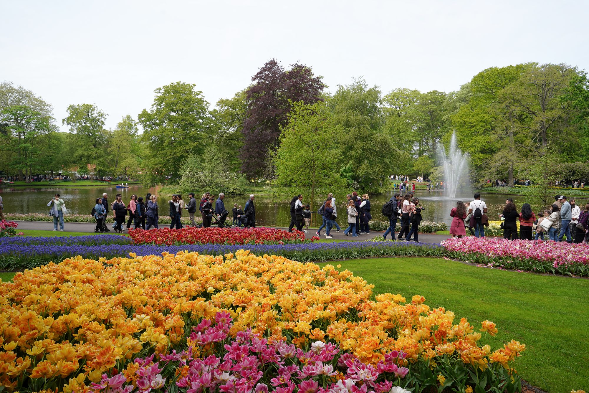 Tulip Garden I (81)