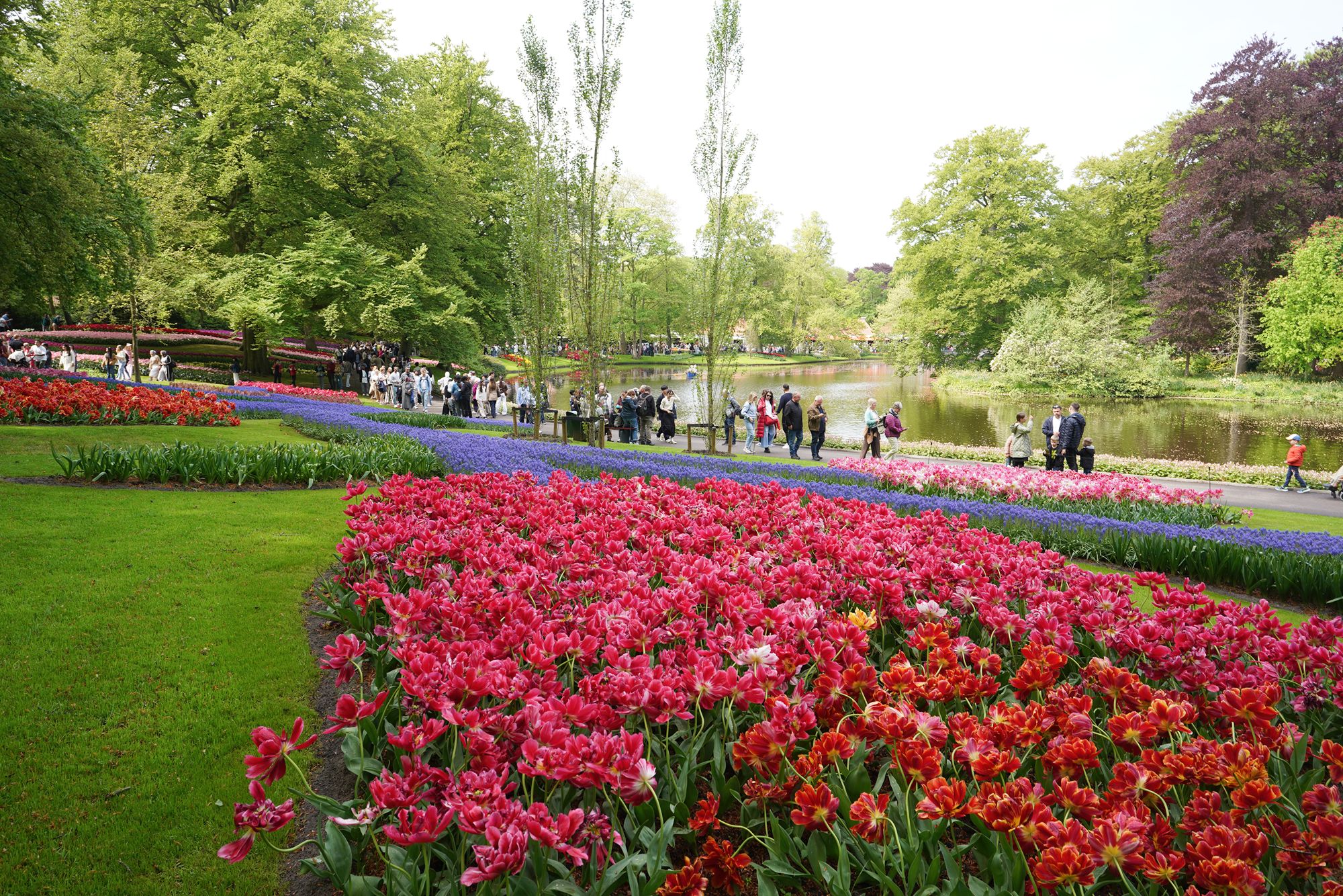 Tulip Garden I (83)