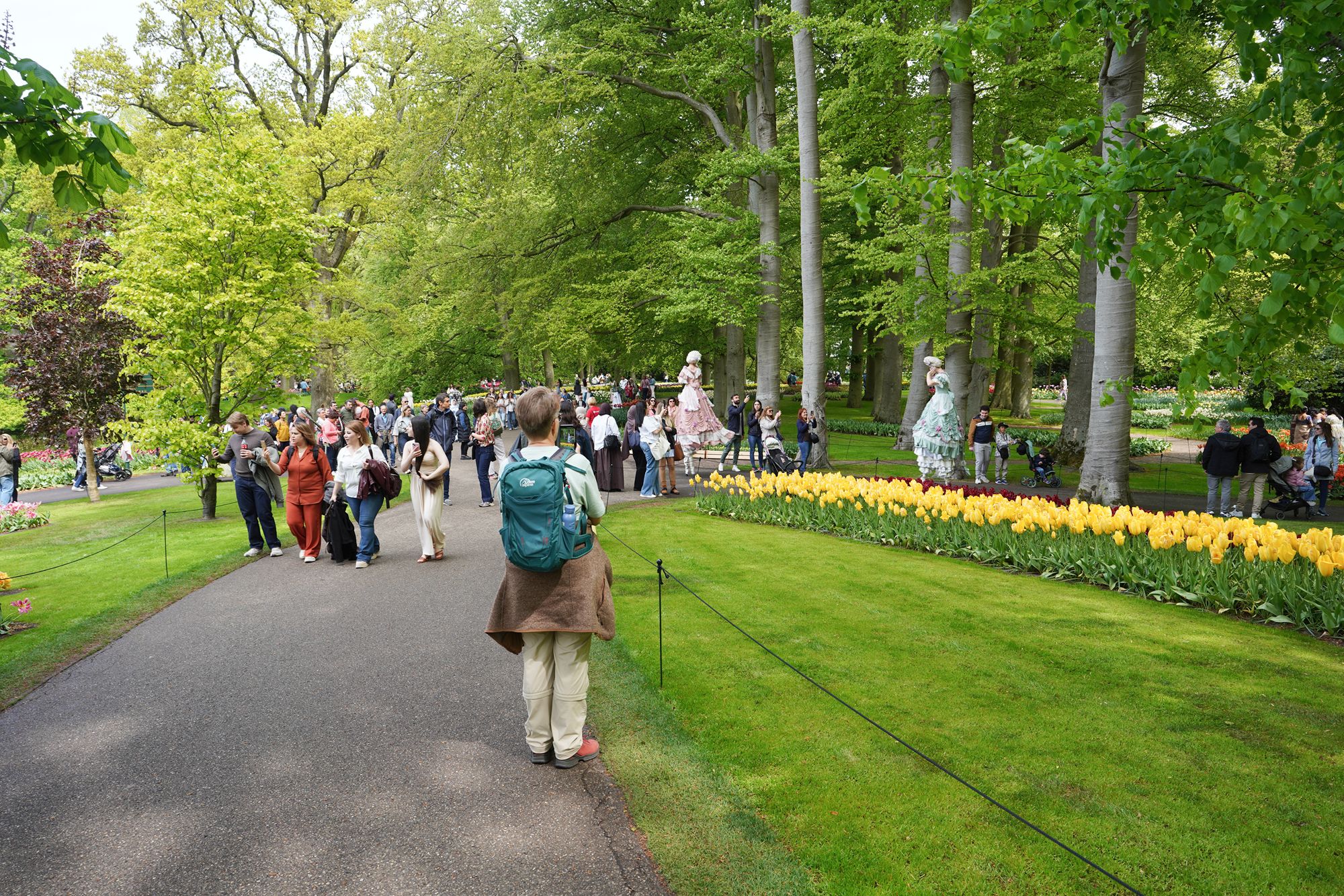 Tulip Garden I (85)