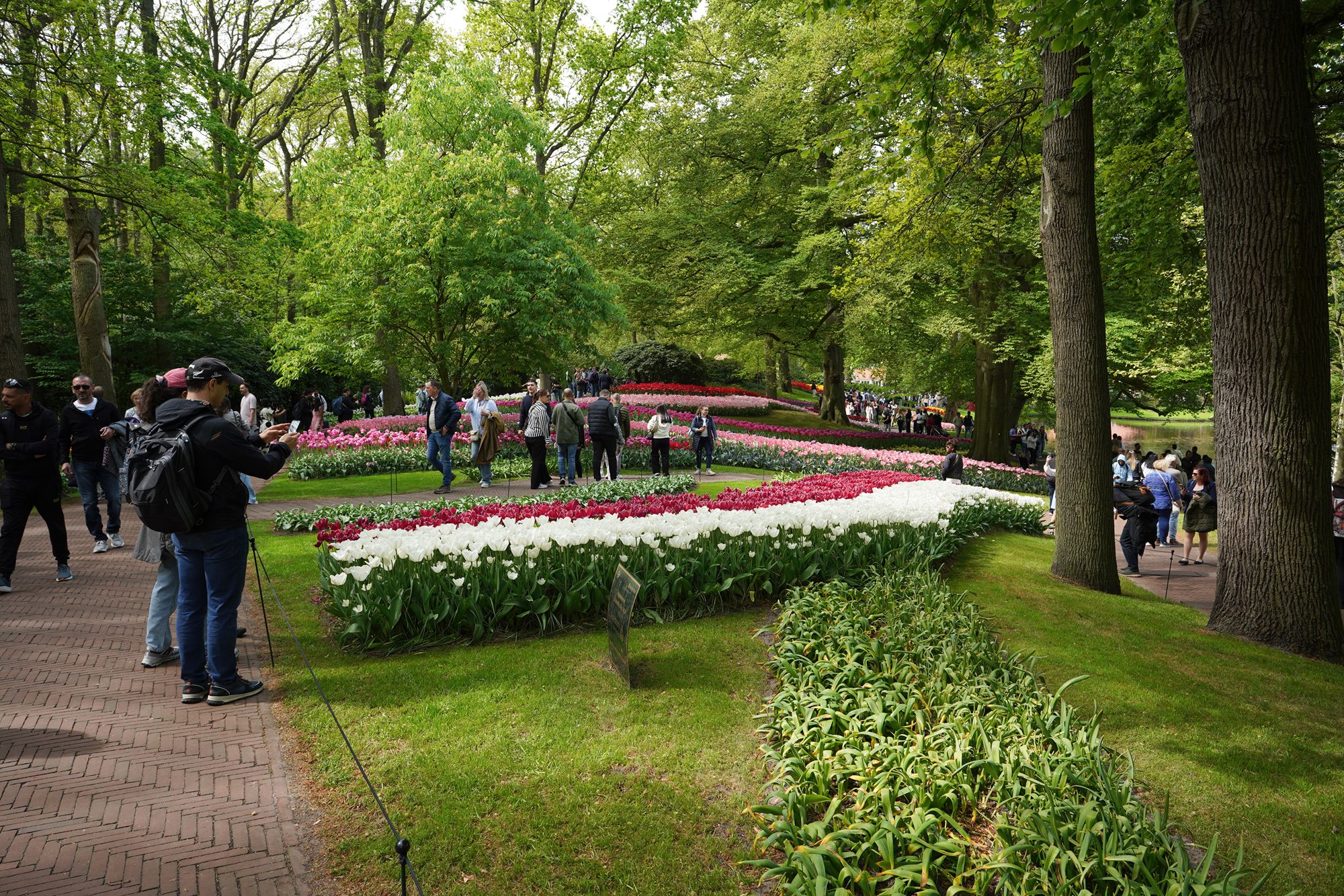Tulip Garden I (92)