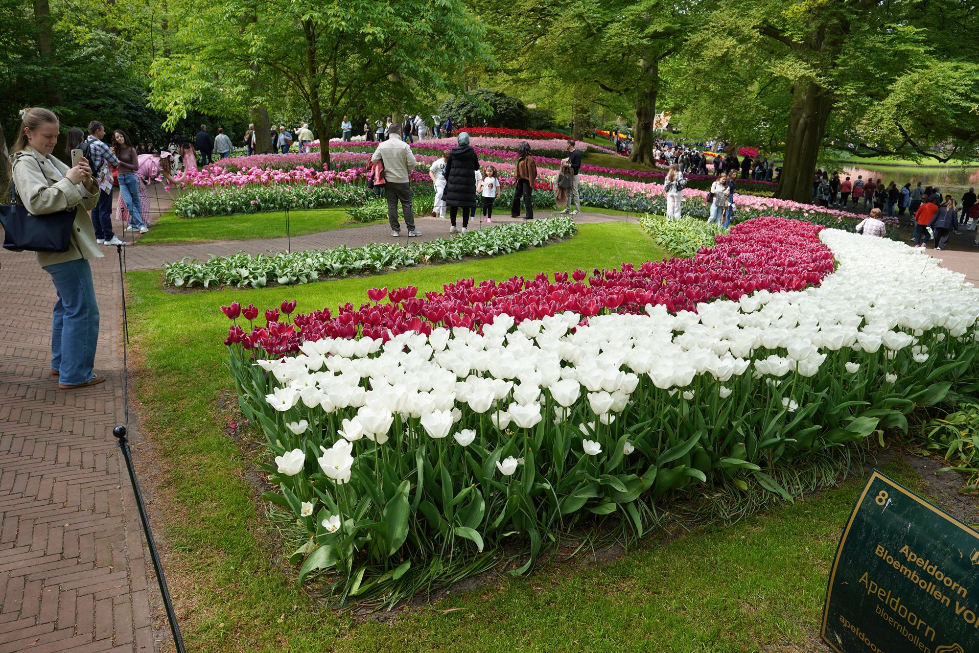 Tulip Garden I (94)