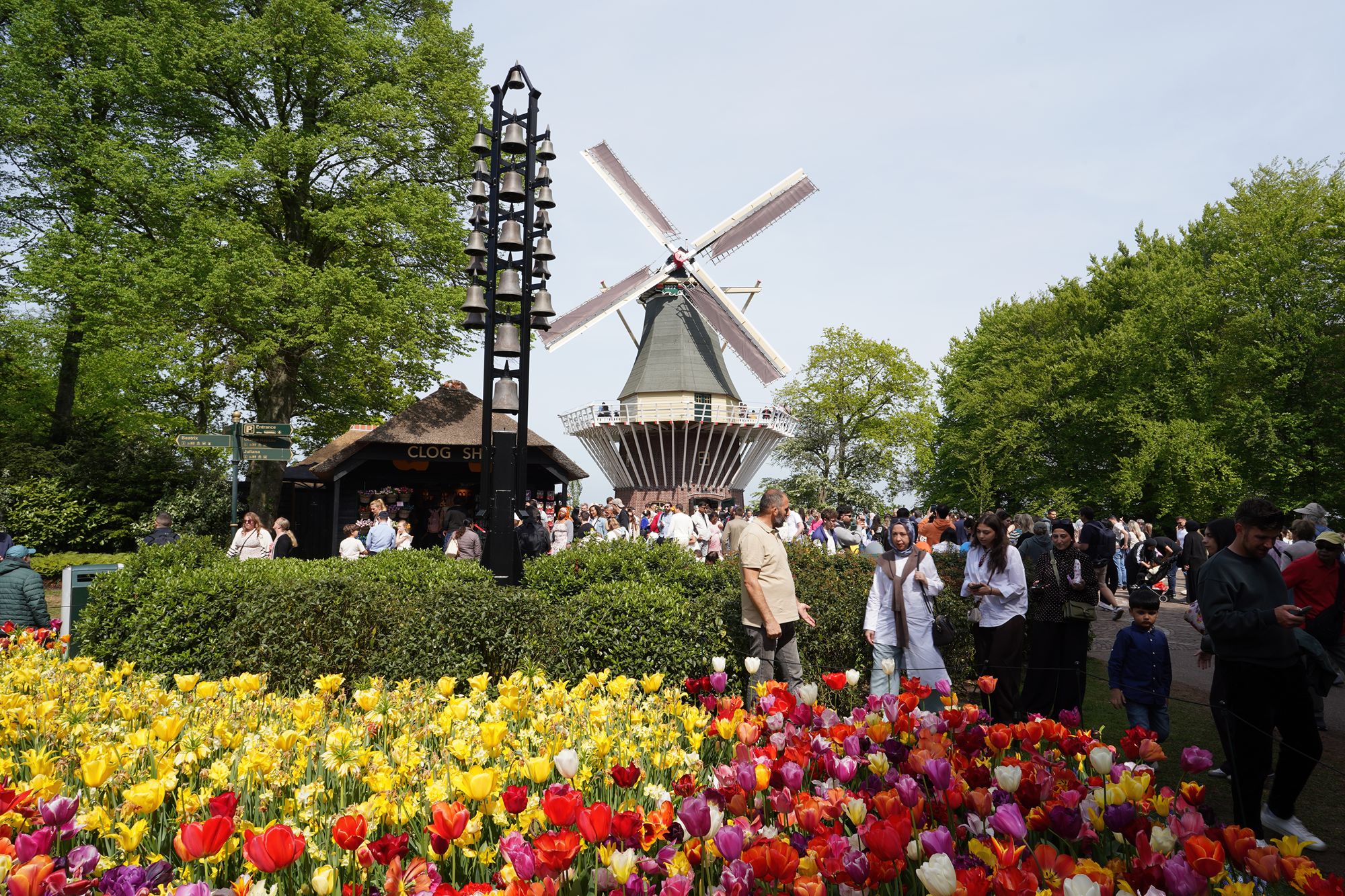 Tulip Garden II (107)