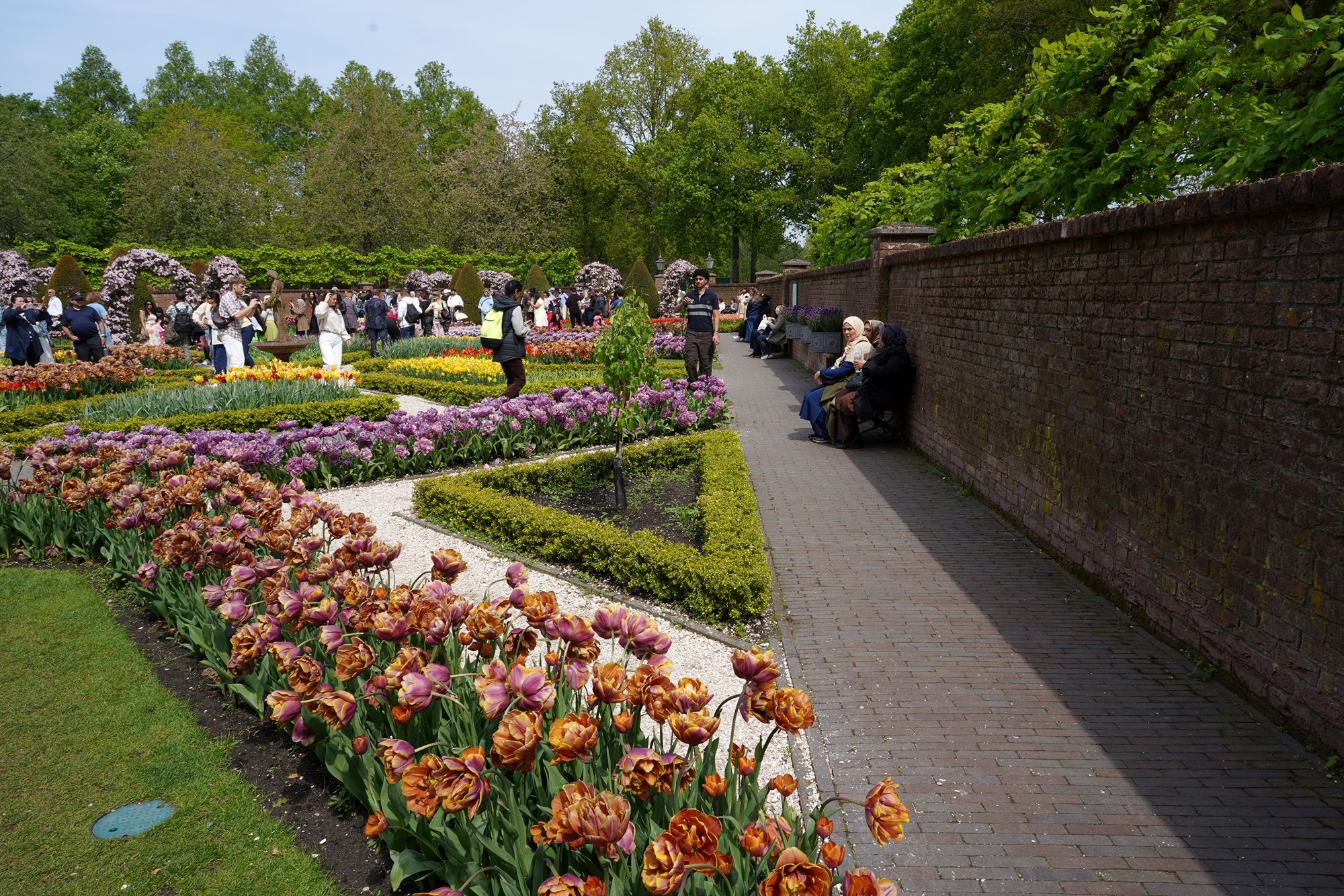 Tulip Garden II (11)