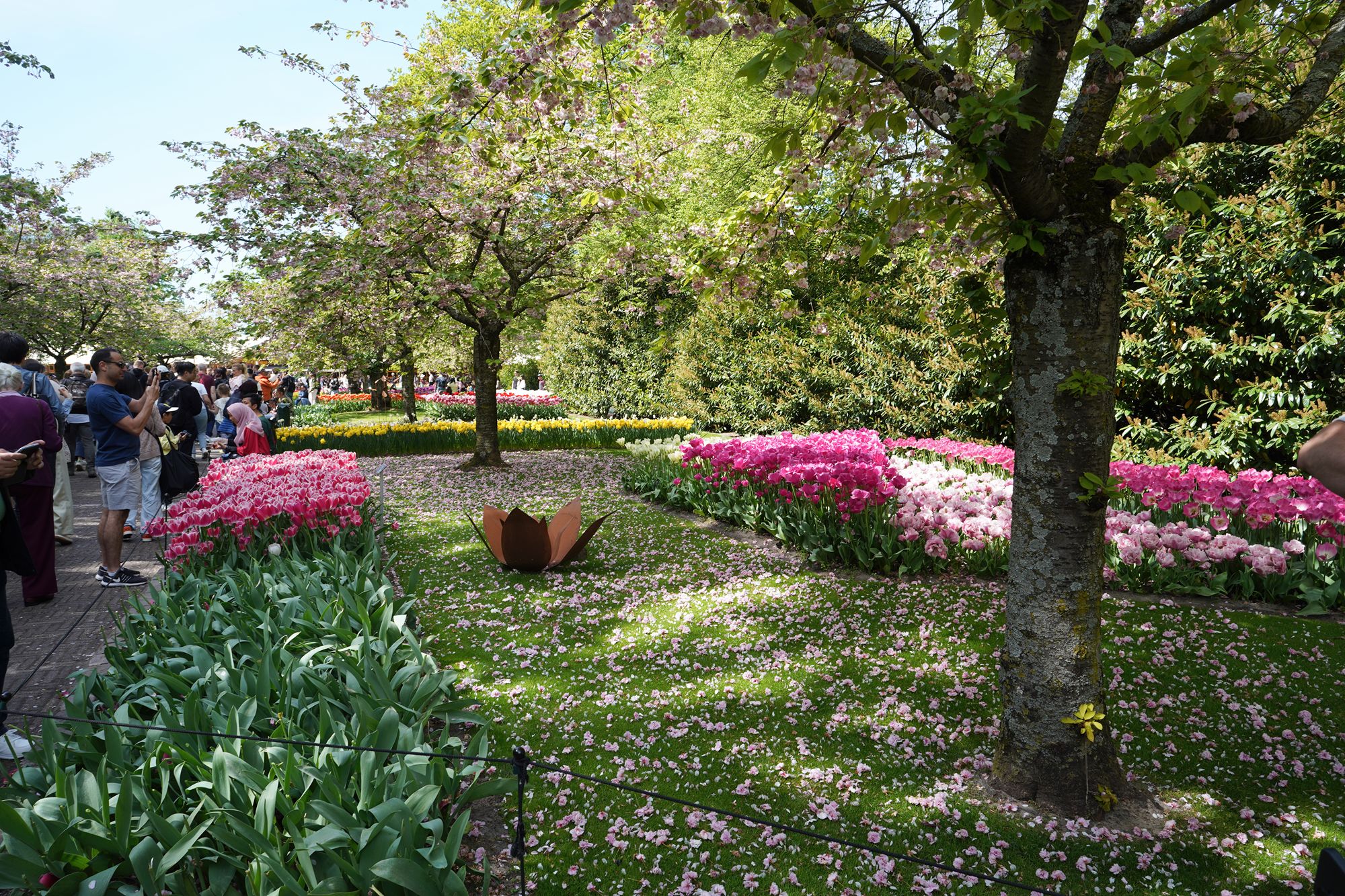 Tulip Garden II (110)
