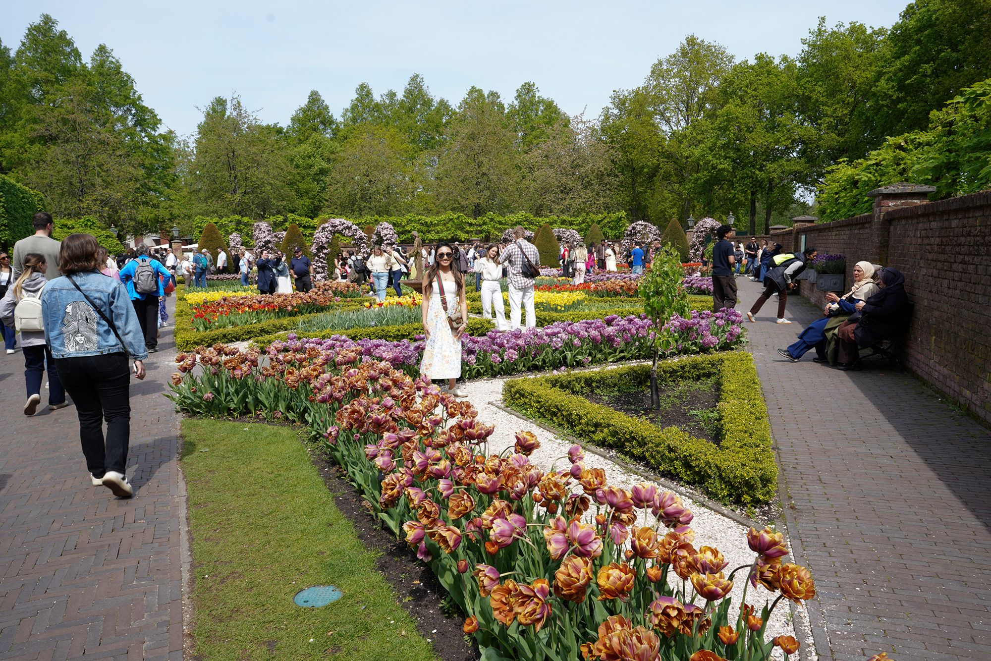 Tulip Garden II (12)