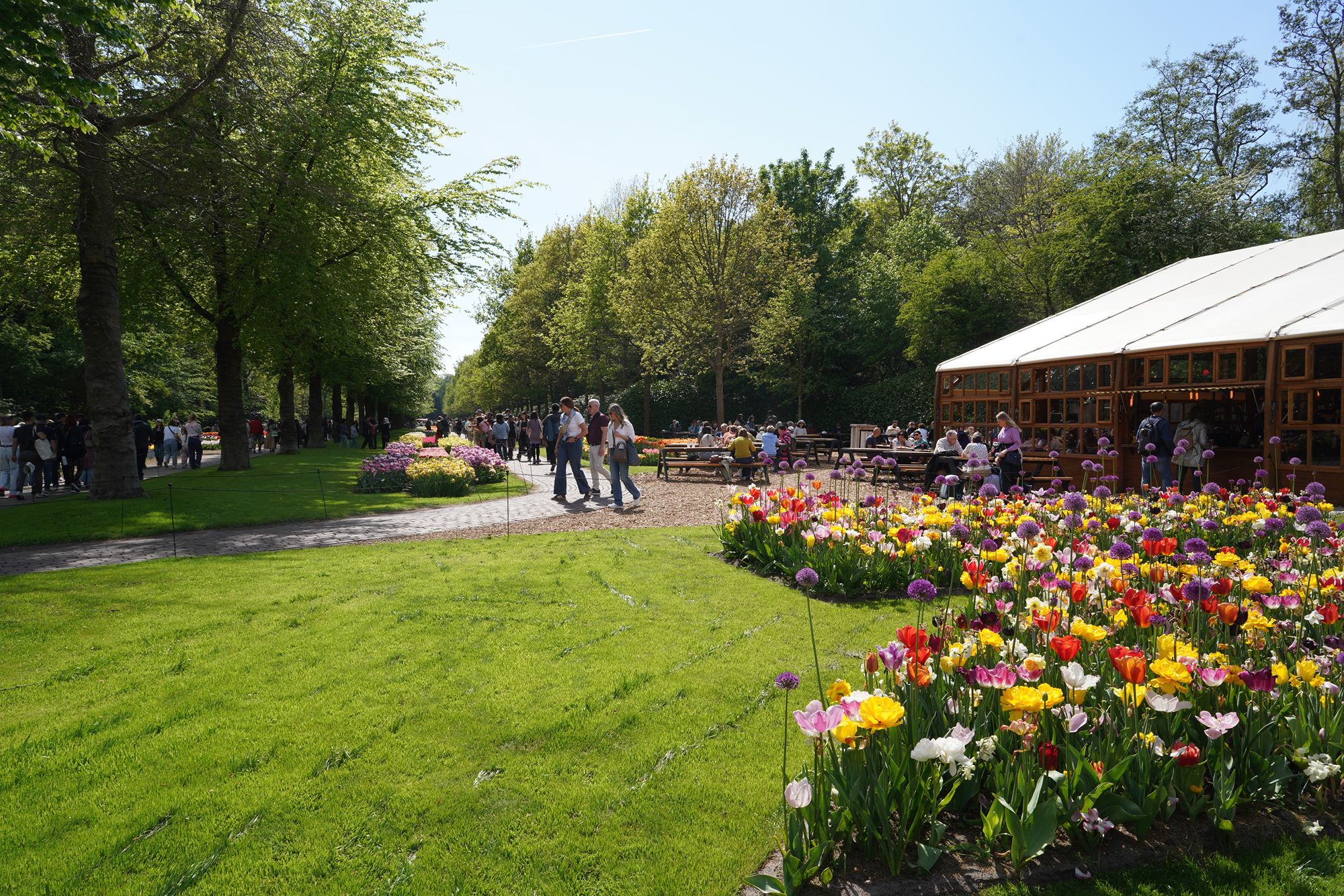 Tulip Garden II (121)