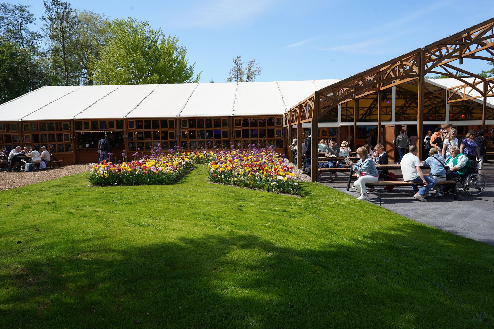 Tulip Garden II (122)