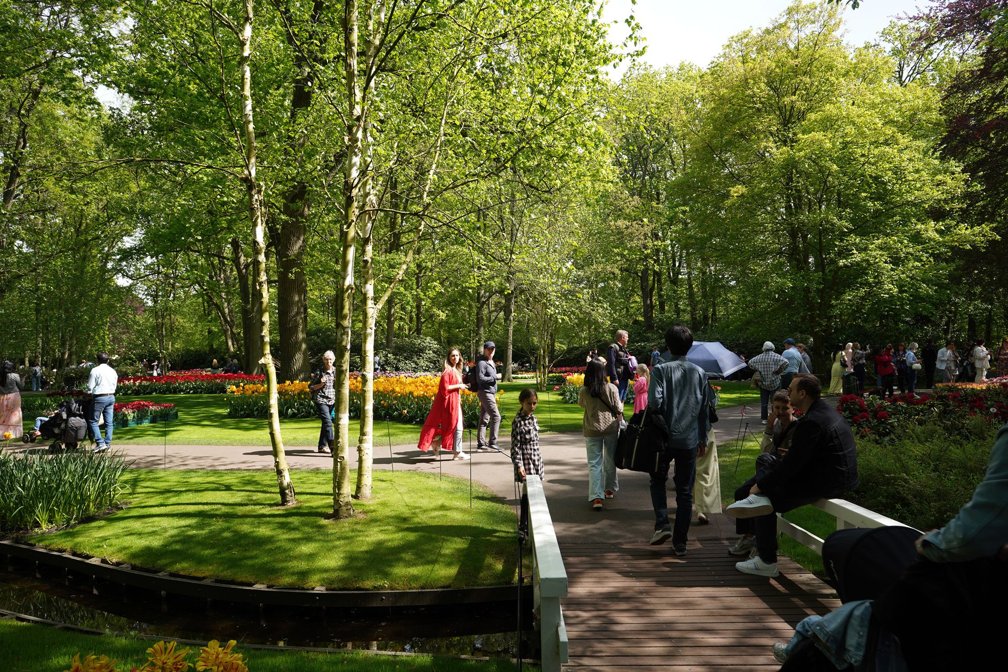 Tulip Garden II (127)