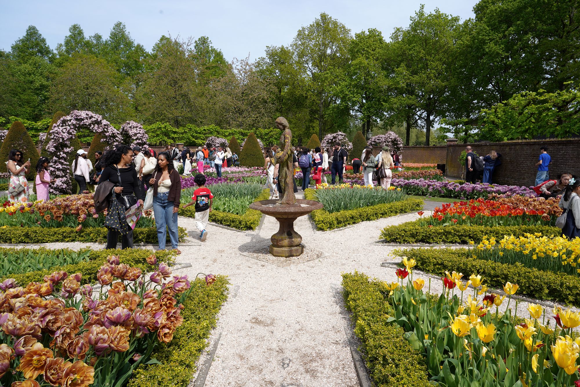 Tulip Garden II (13)