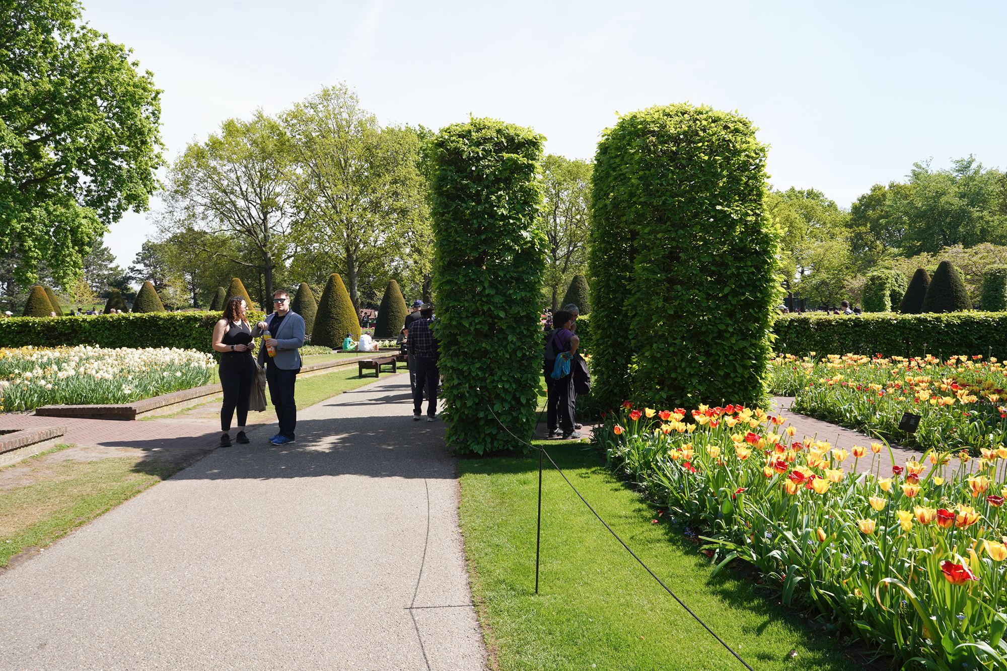 Tulip Garden II (139)