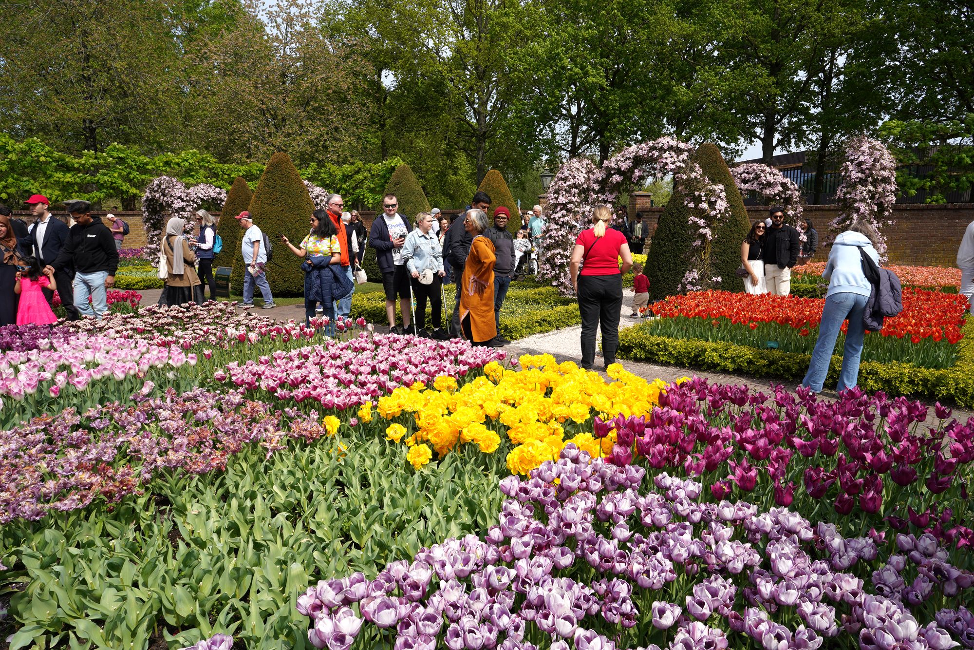 Tulip Garden II (14)