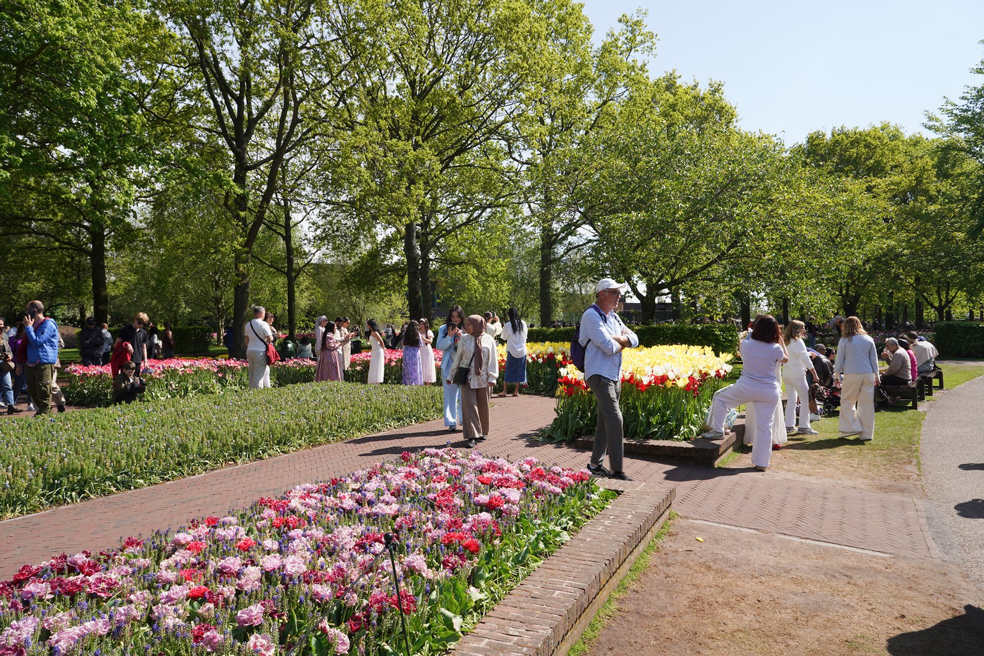Tulip Garden II (141)