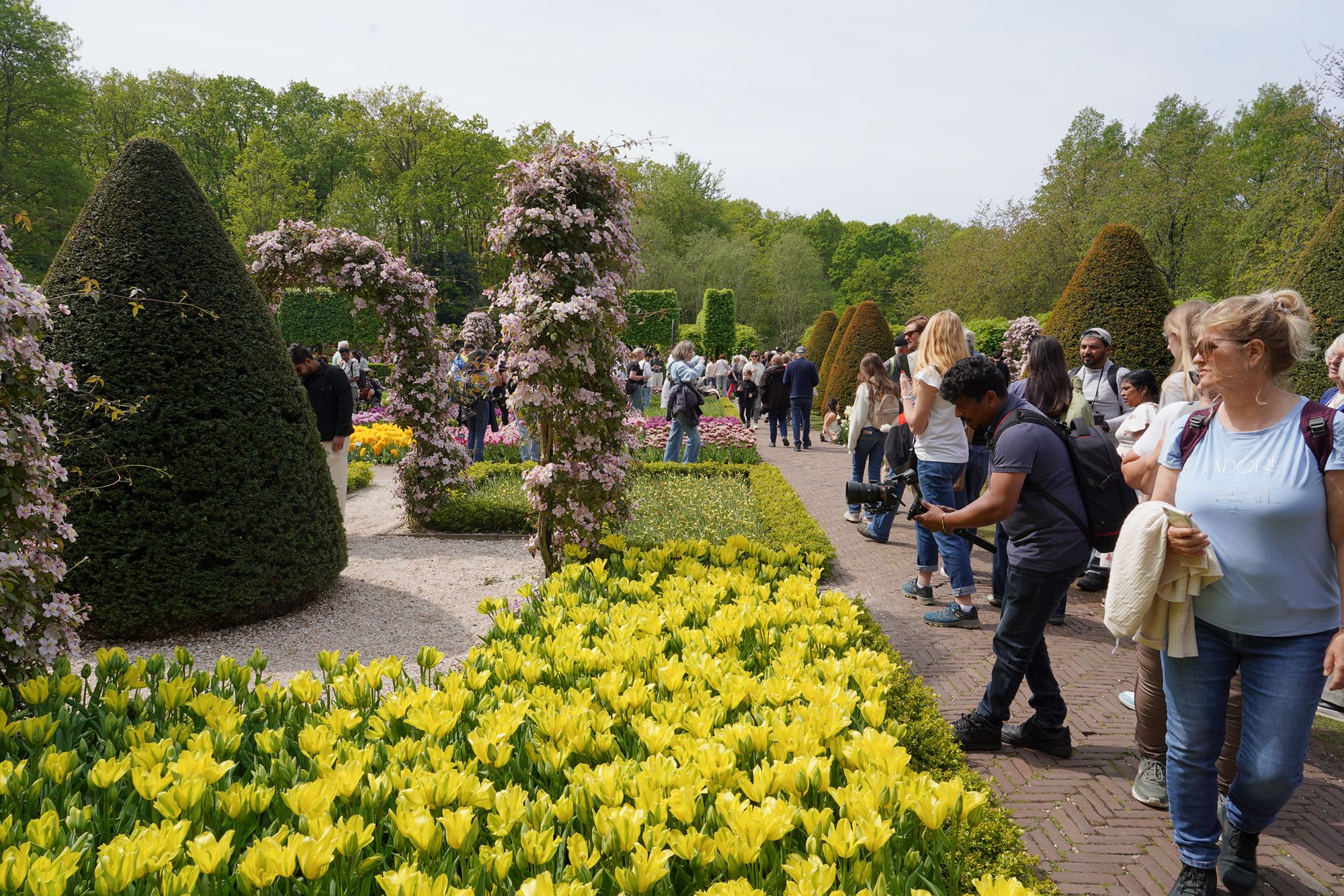 Tulip Garden II (15)
