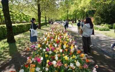 Keukenhof – the Tulip Garden, Part 2, Lisse, Netherlands
