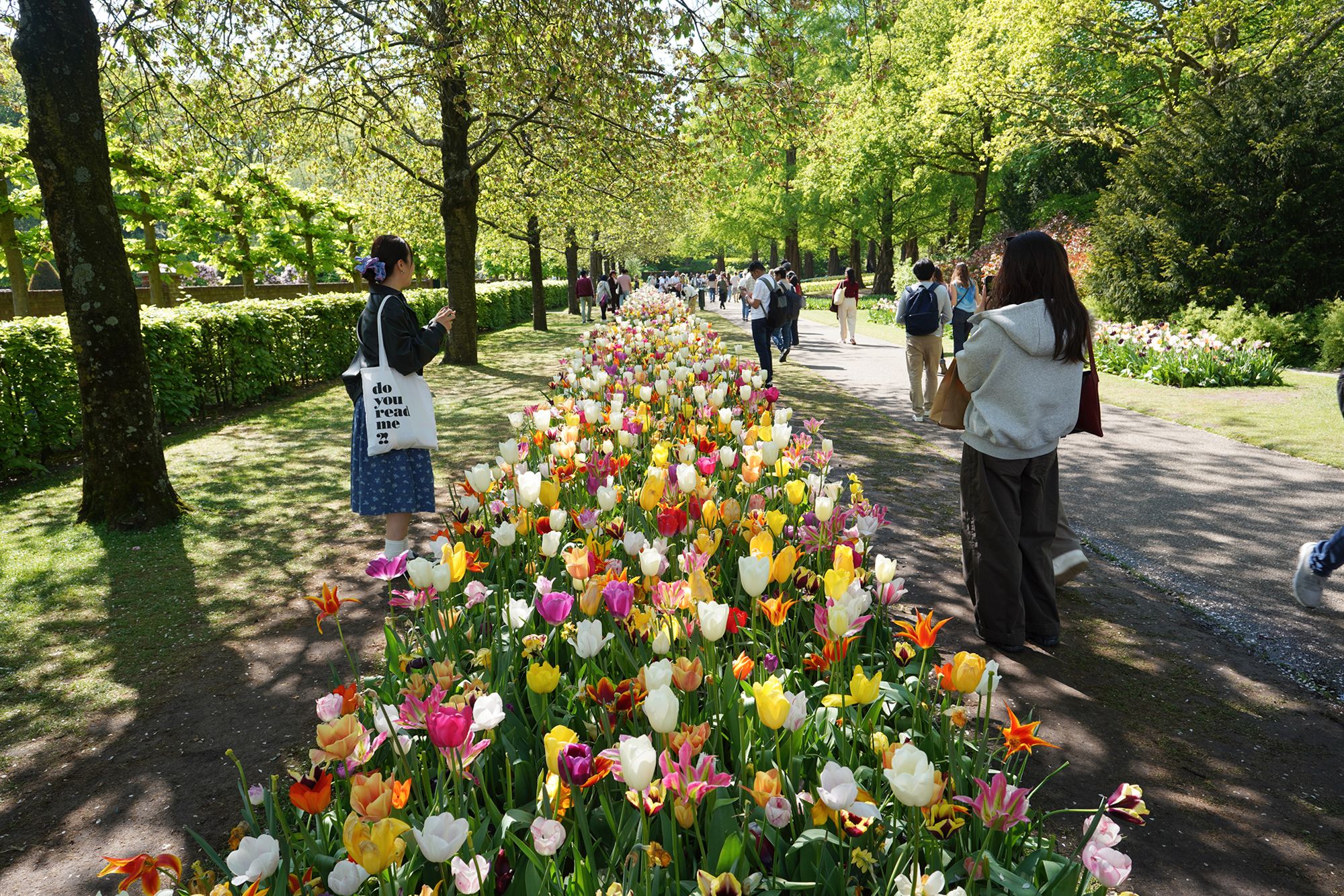 Keukenhof – the Tulip Garden, Part 2, Lisse, Netherlands