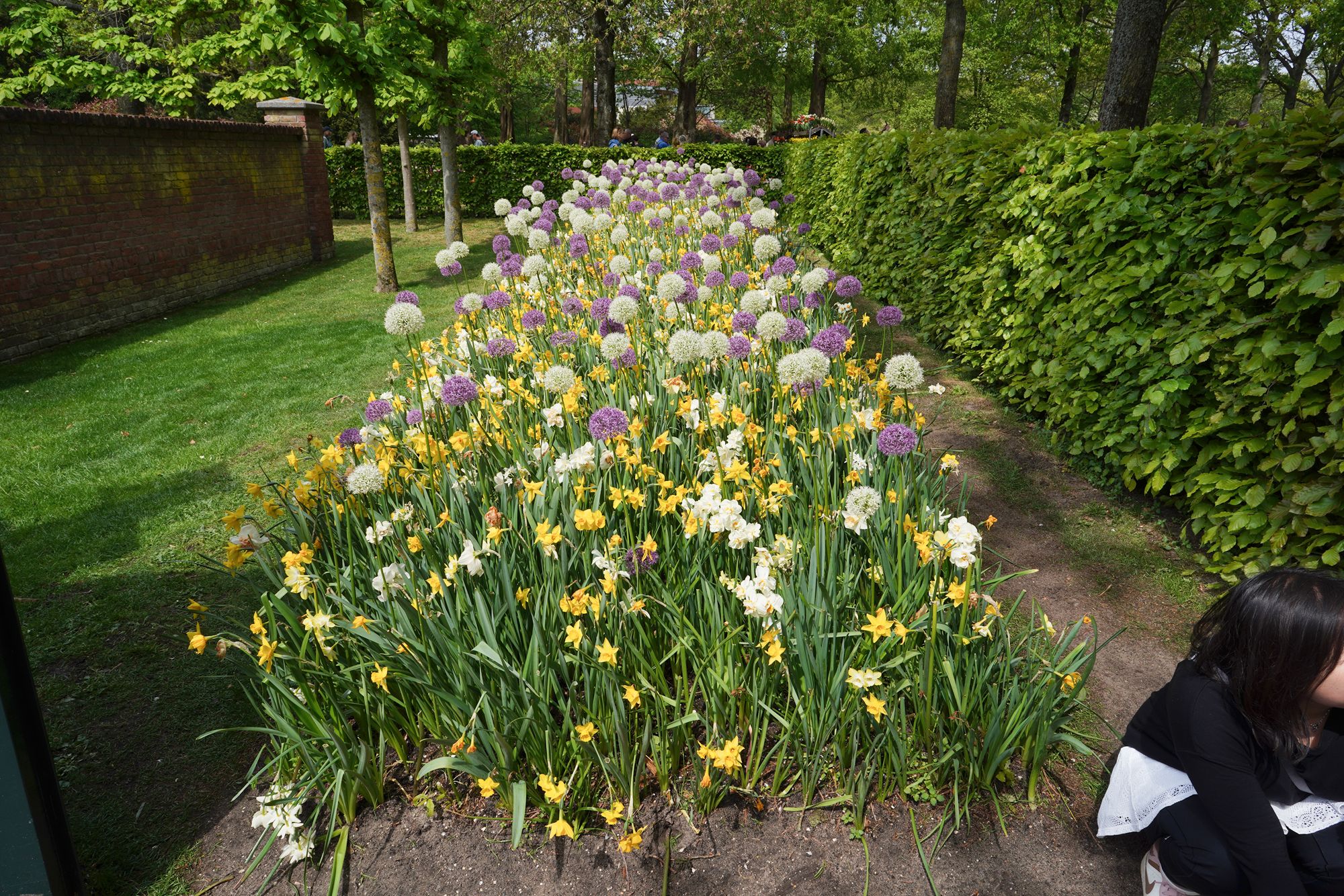 Tulip Garden II (16)