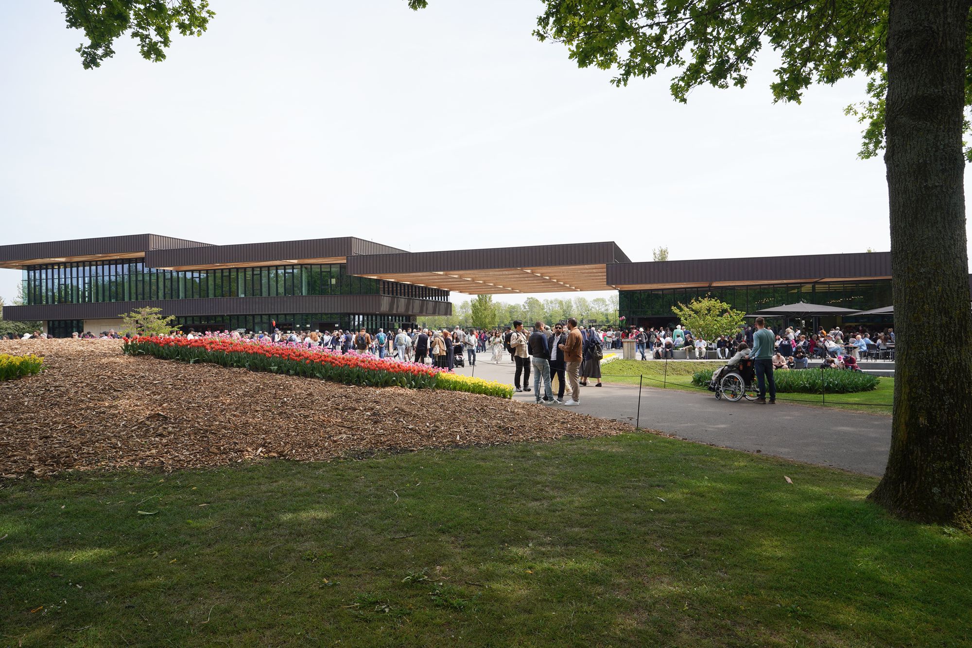 Tulip Garden II (17)