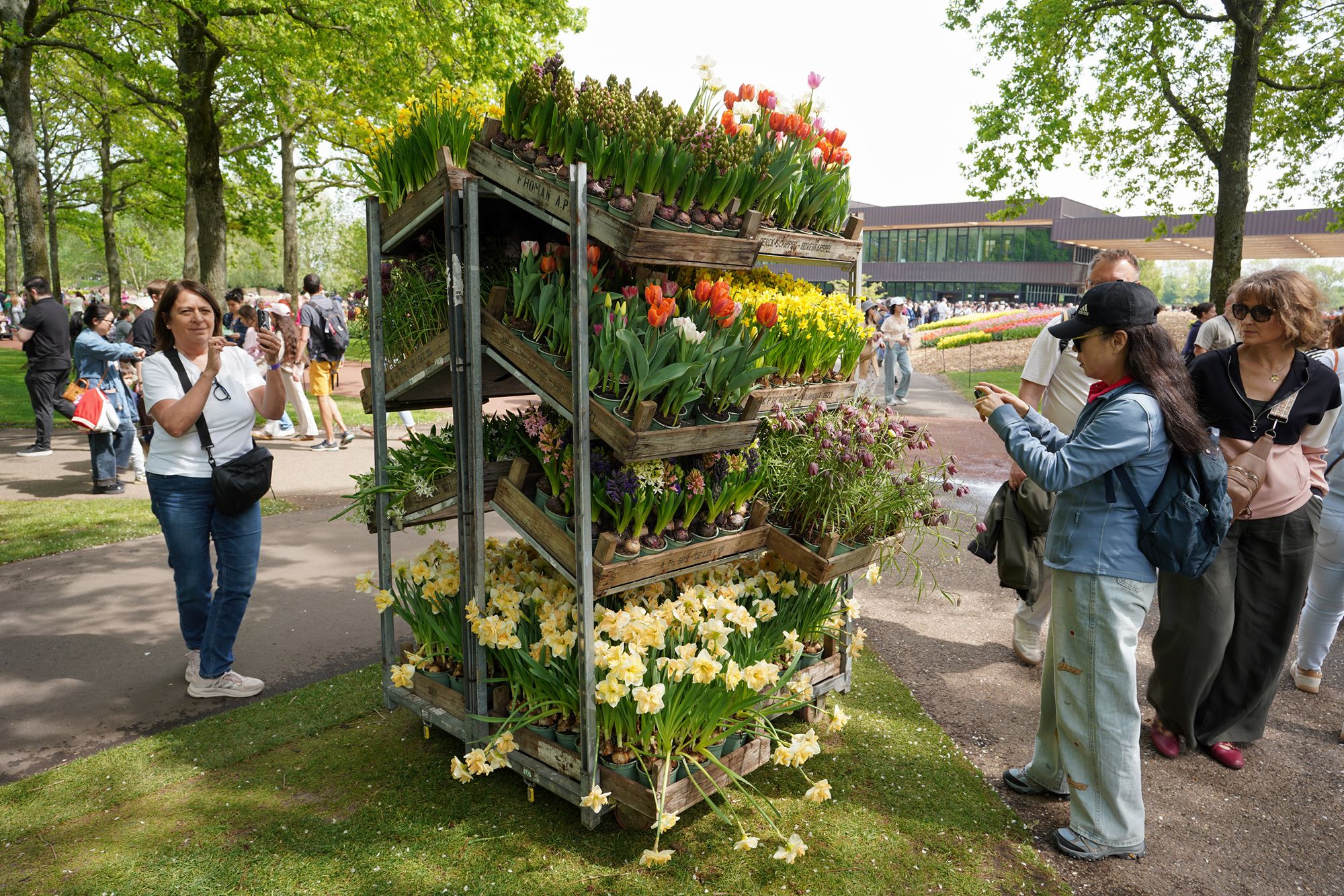 Tulip Garden II (21)