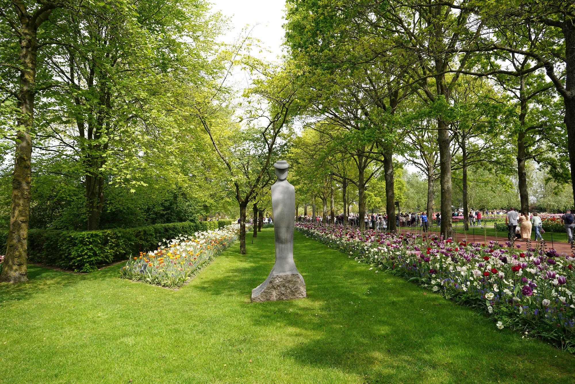 Tulip Garden II (22)