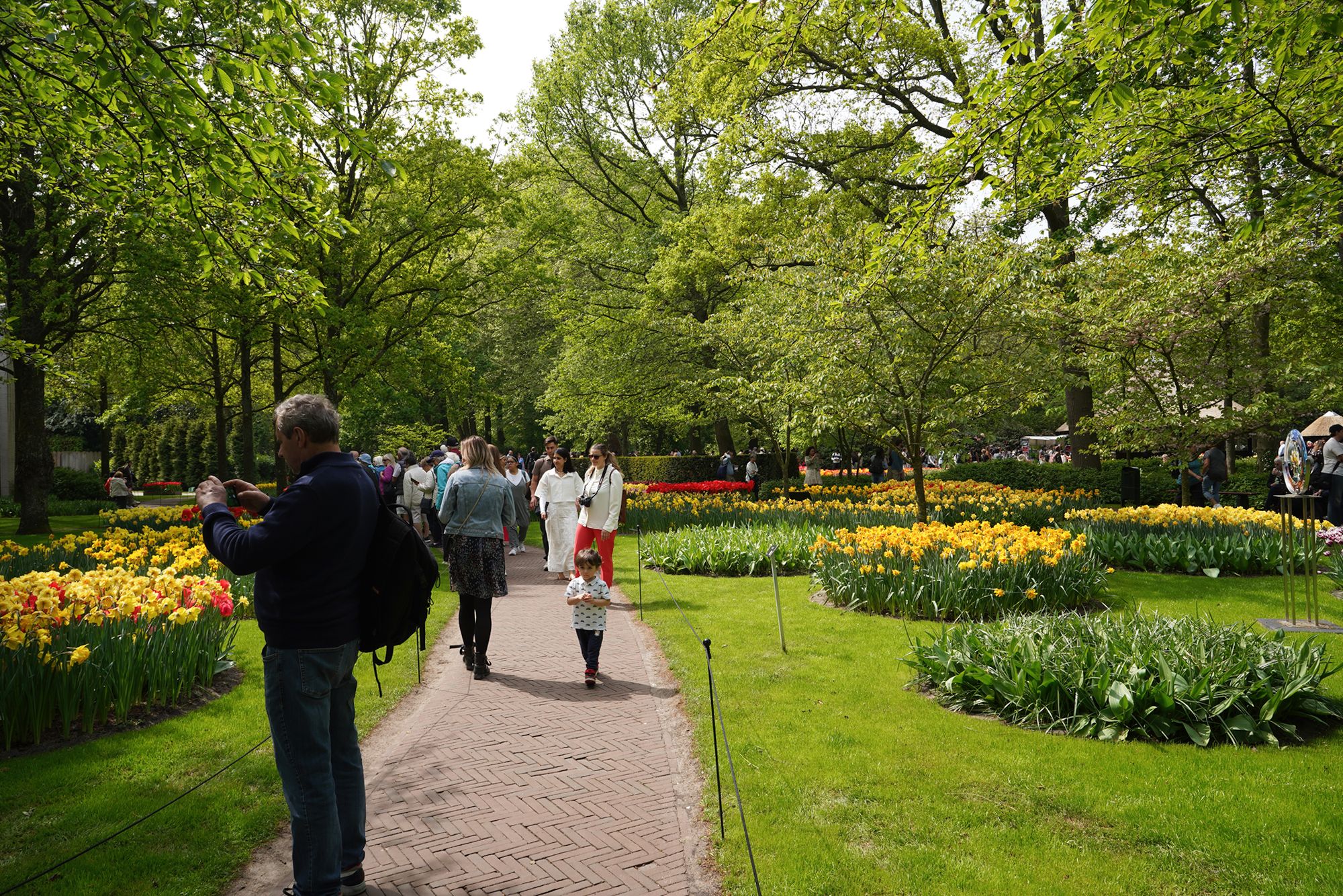 Tulip Garden II (28)