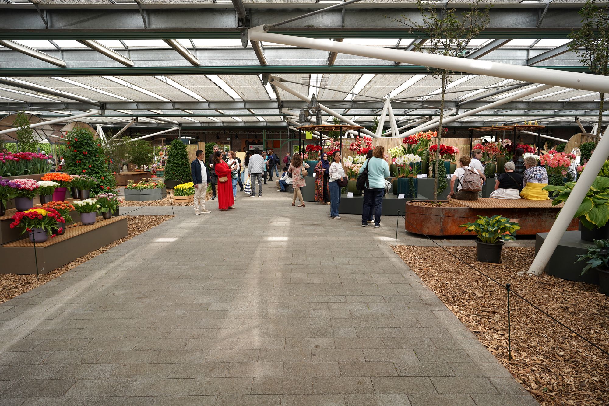 Tulip Garden II (35)