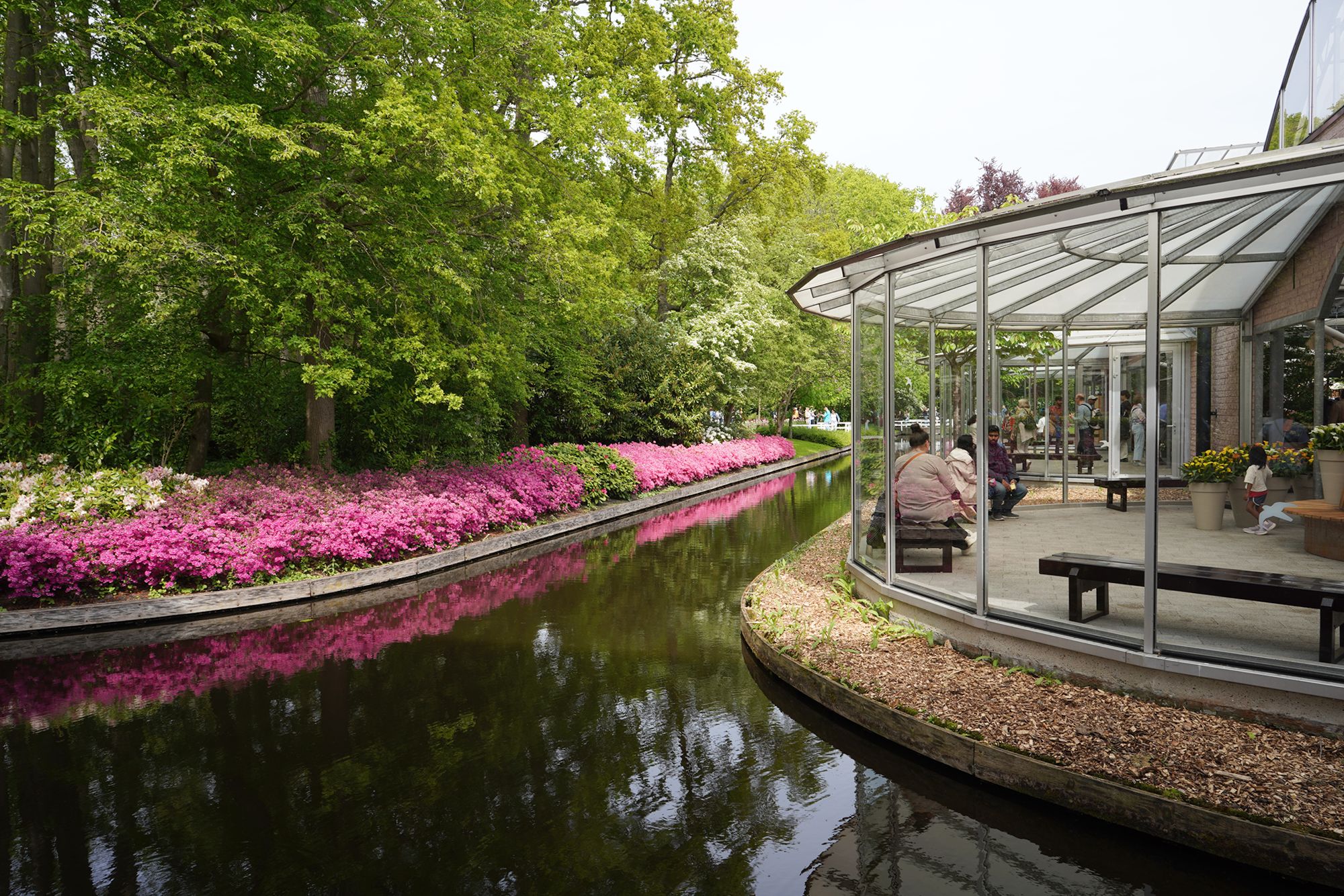 Tulip Garden II (36)