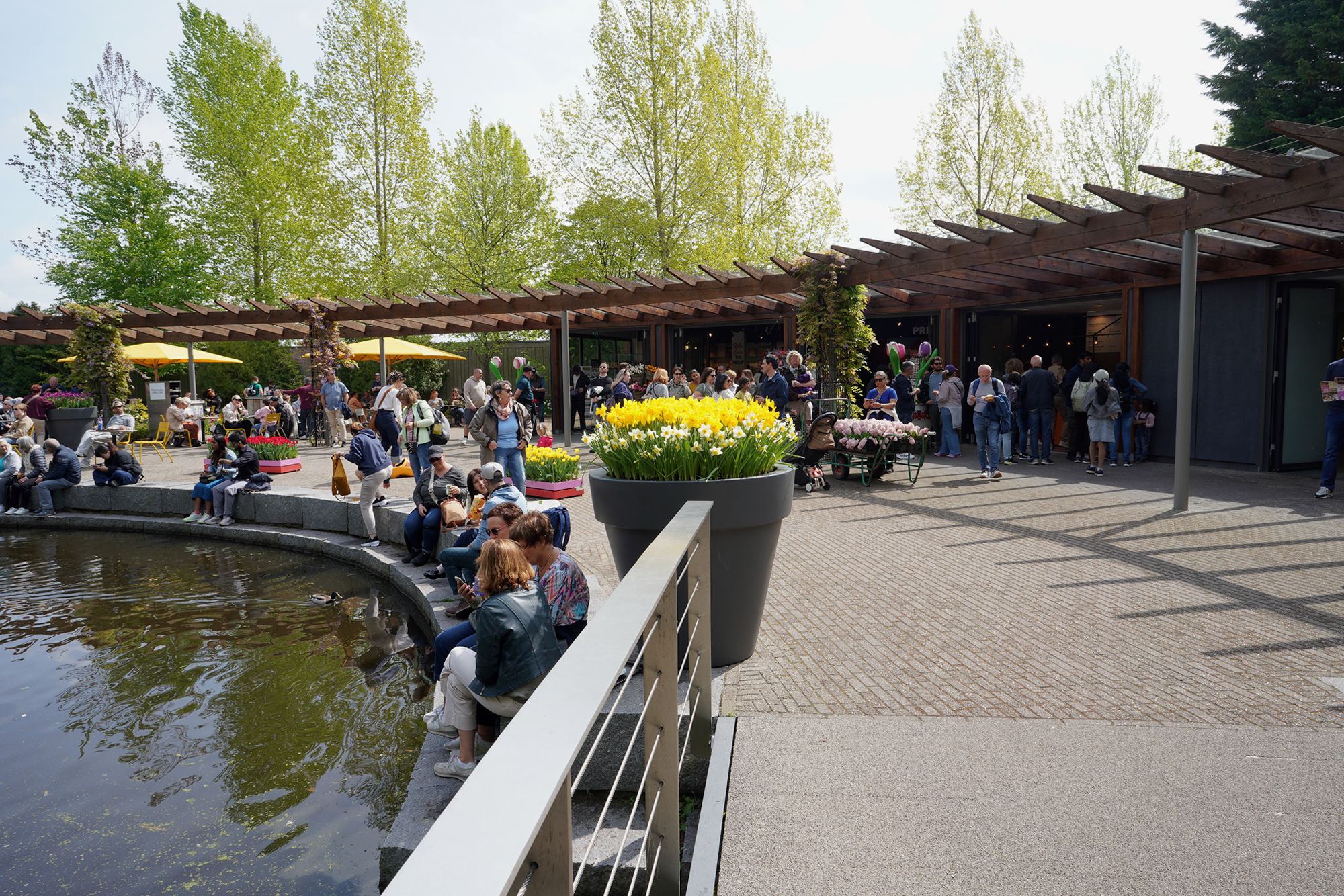 Tulip Garden II (4)