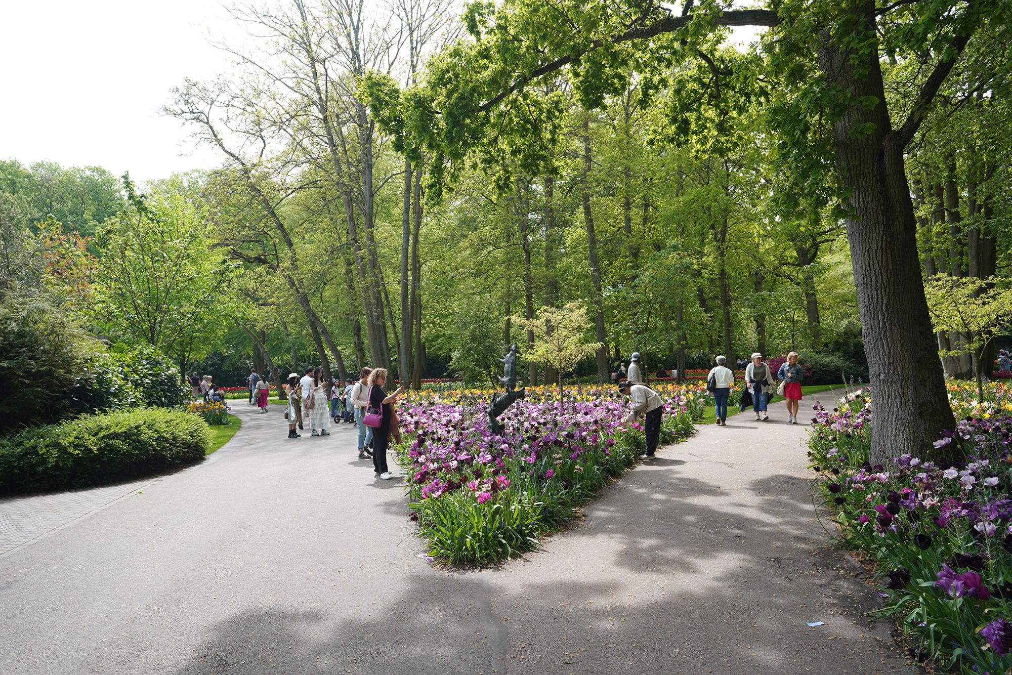 Tulip Garden II (44)