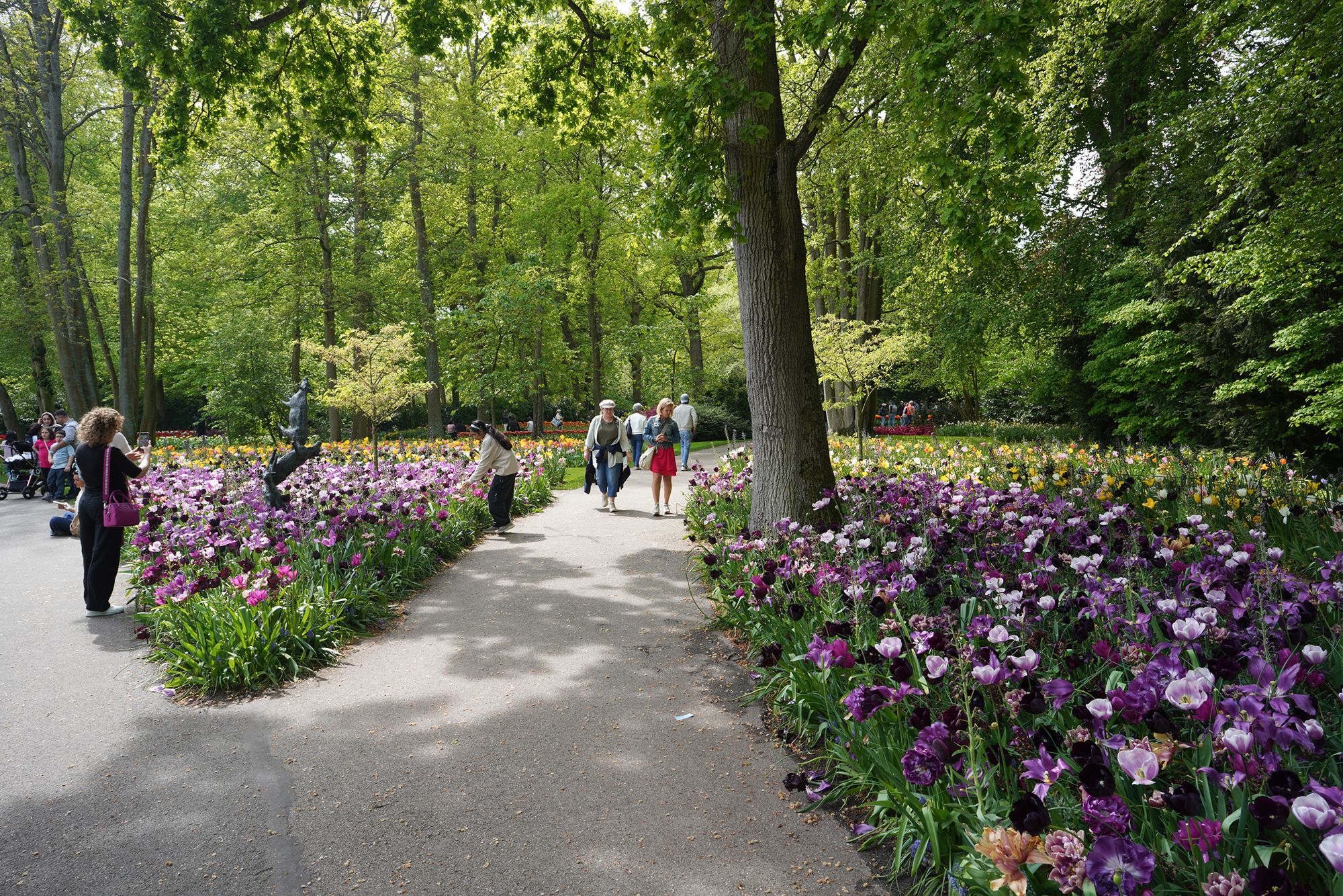 Tulip Garden II (45)