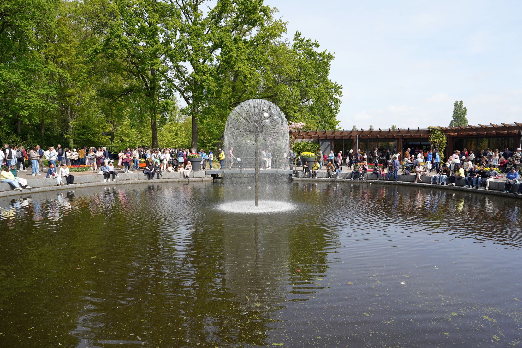 Tulip Garden II (5)