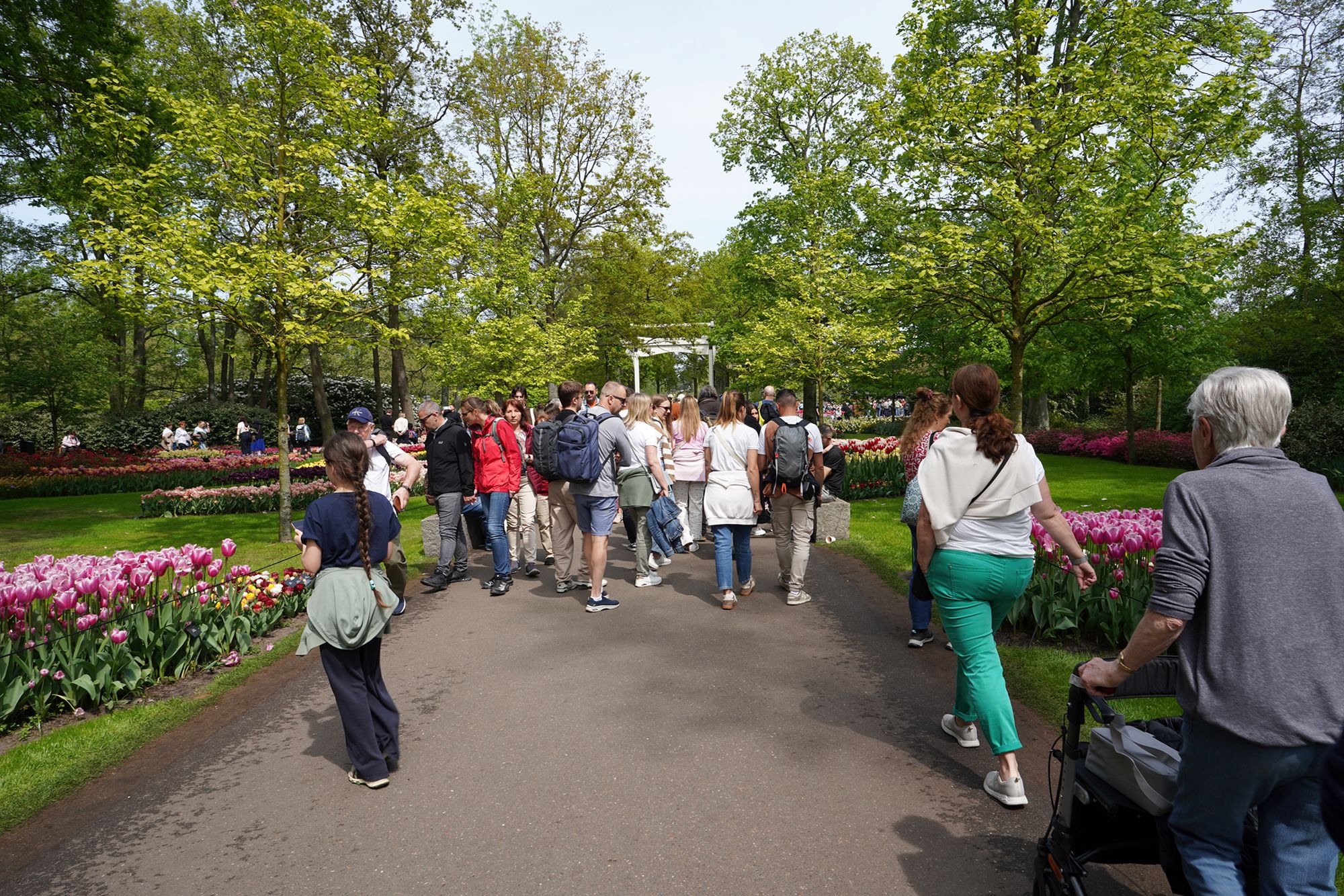 Tulip Garden II (6)