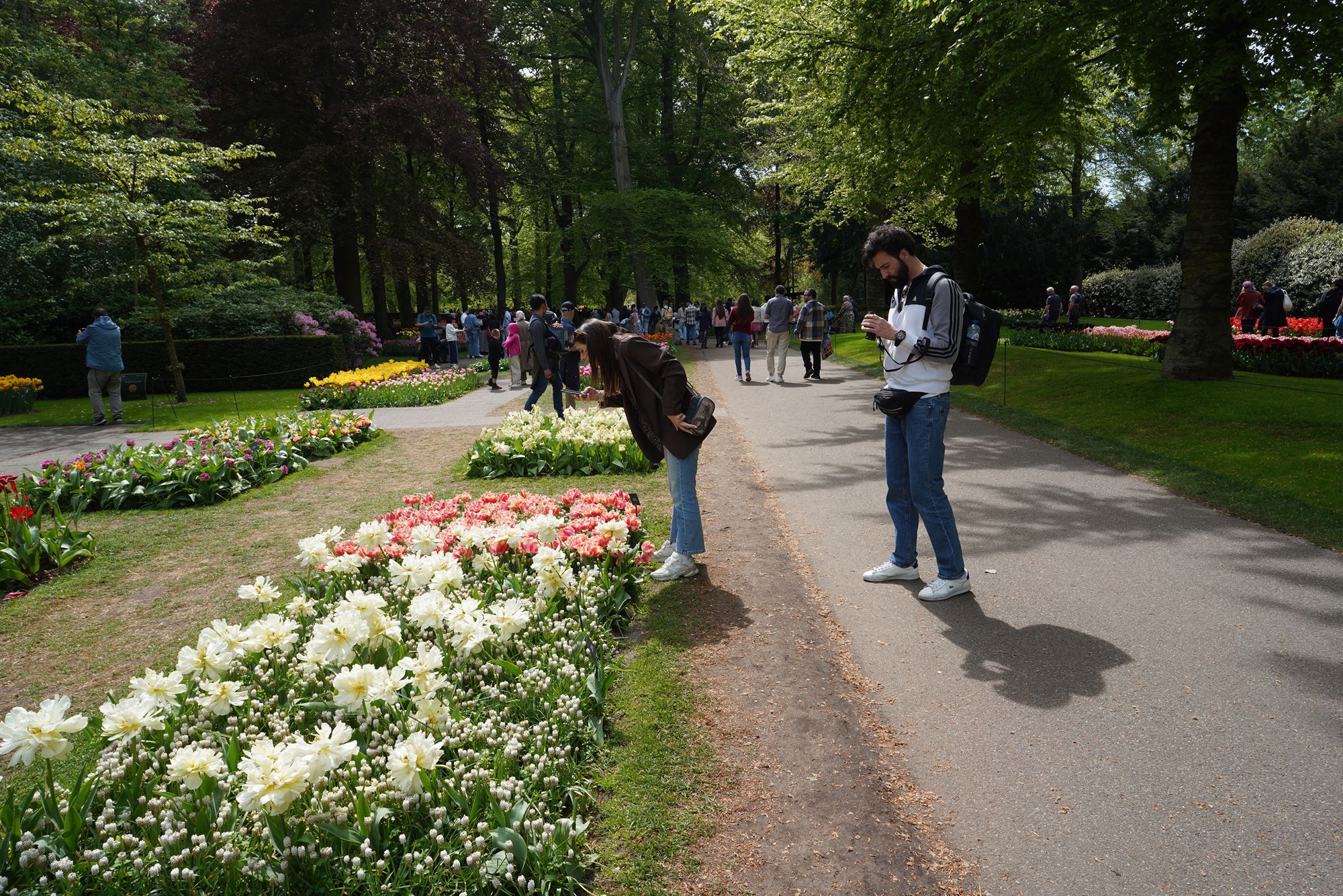 Tulip Garden II (61)