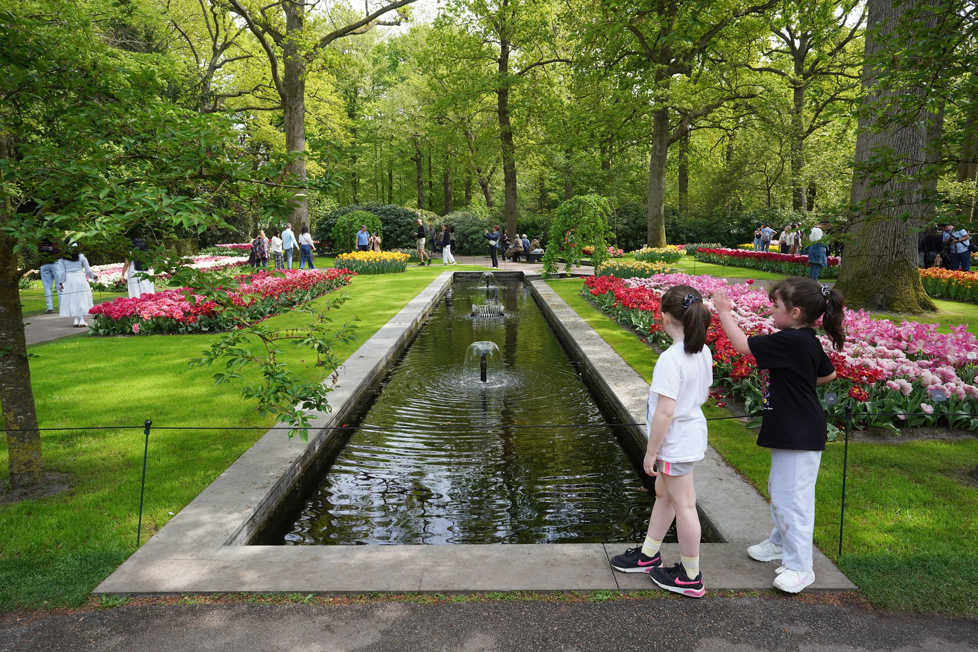 Tulip Garden II (62)