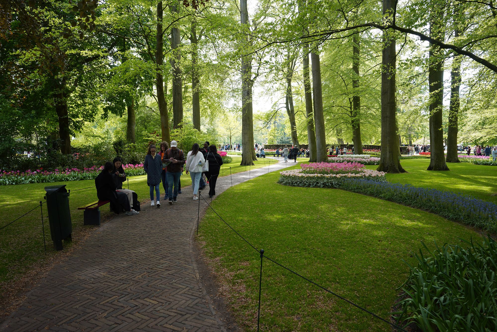 Tulip Garden II (72)