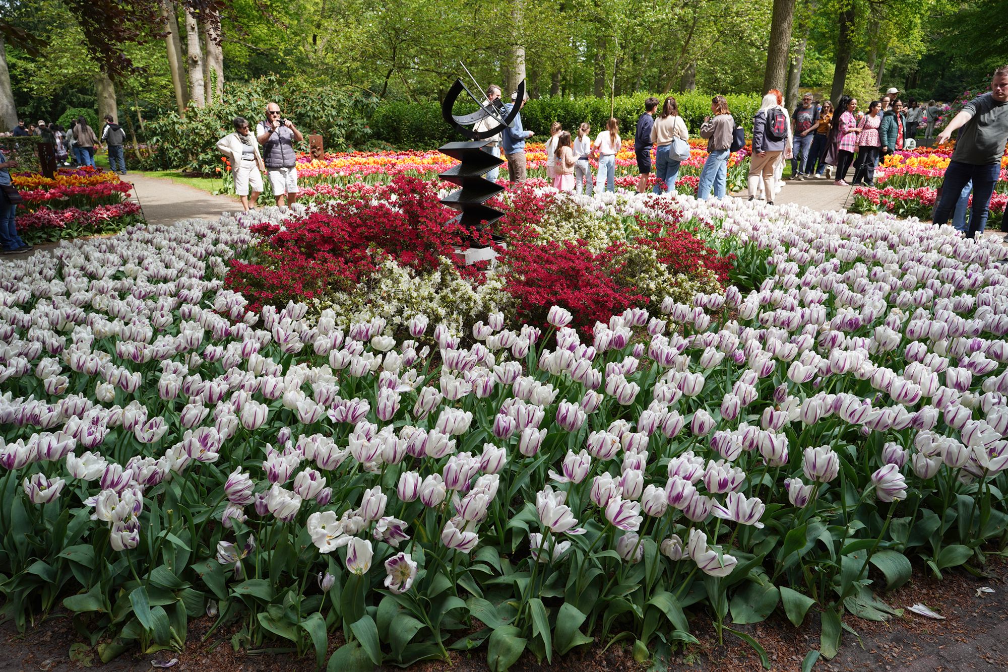 Tulip Garden II (75)