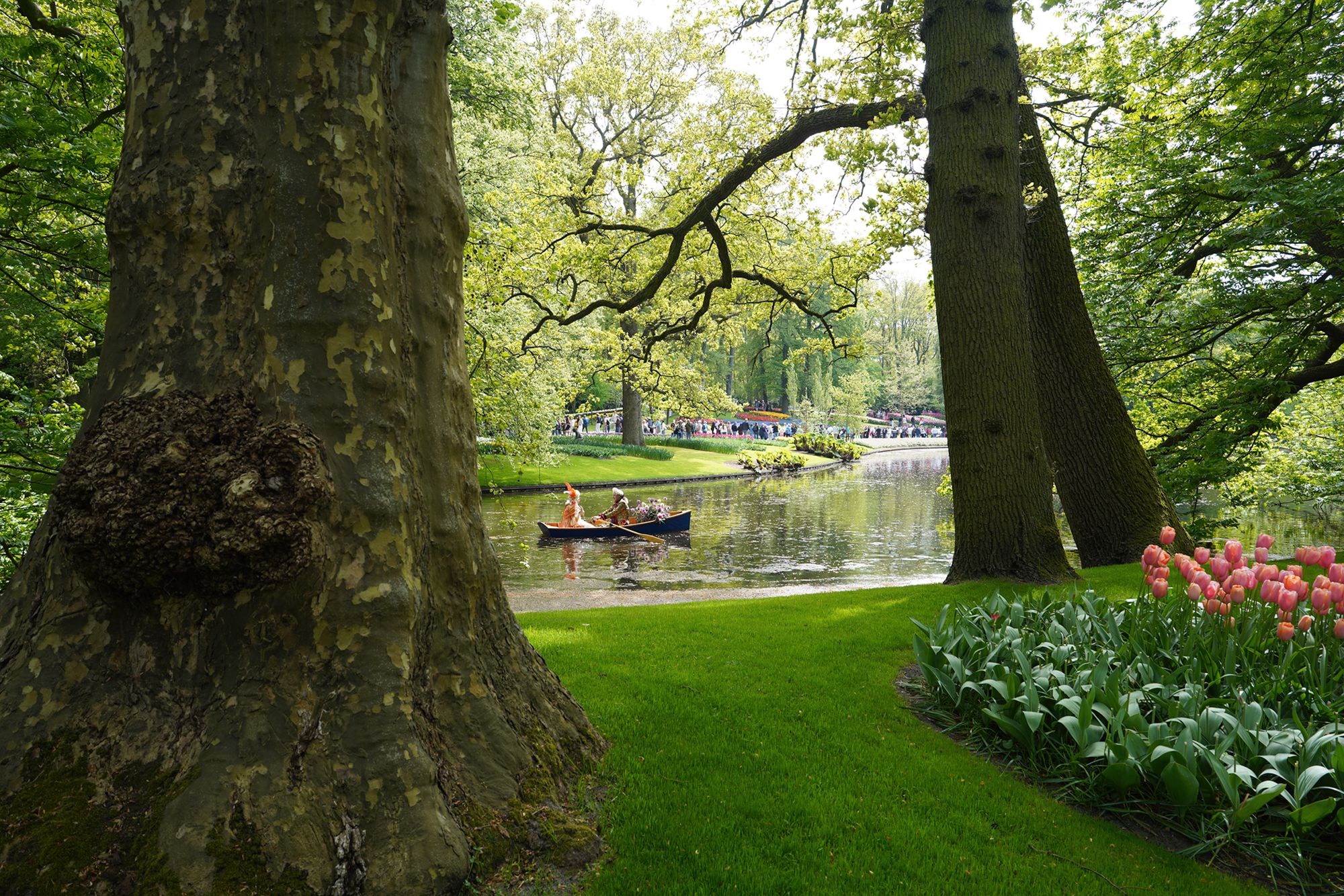 Tulip Garden II (85)