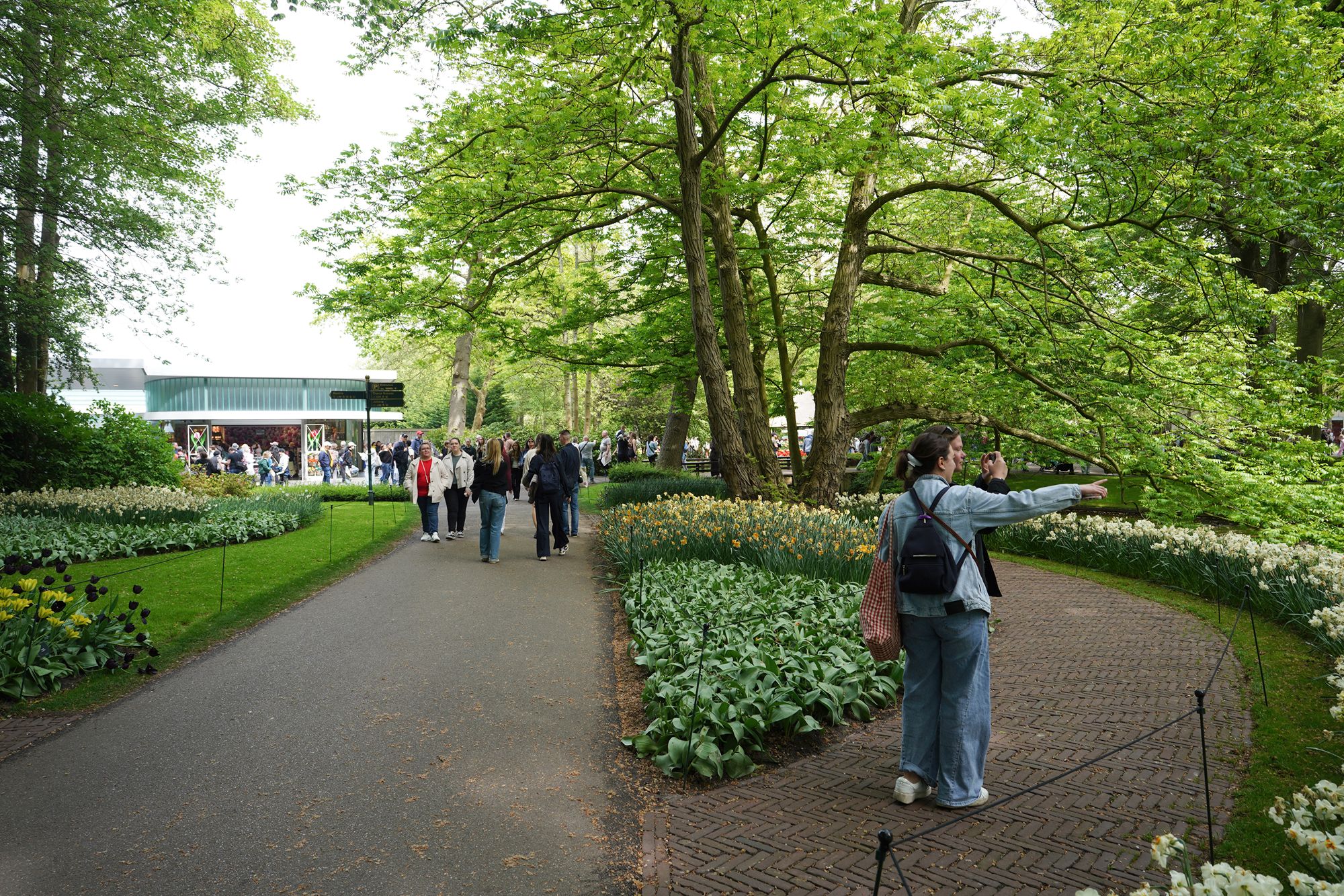 Tulip Garden II (88)