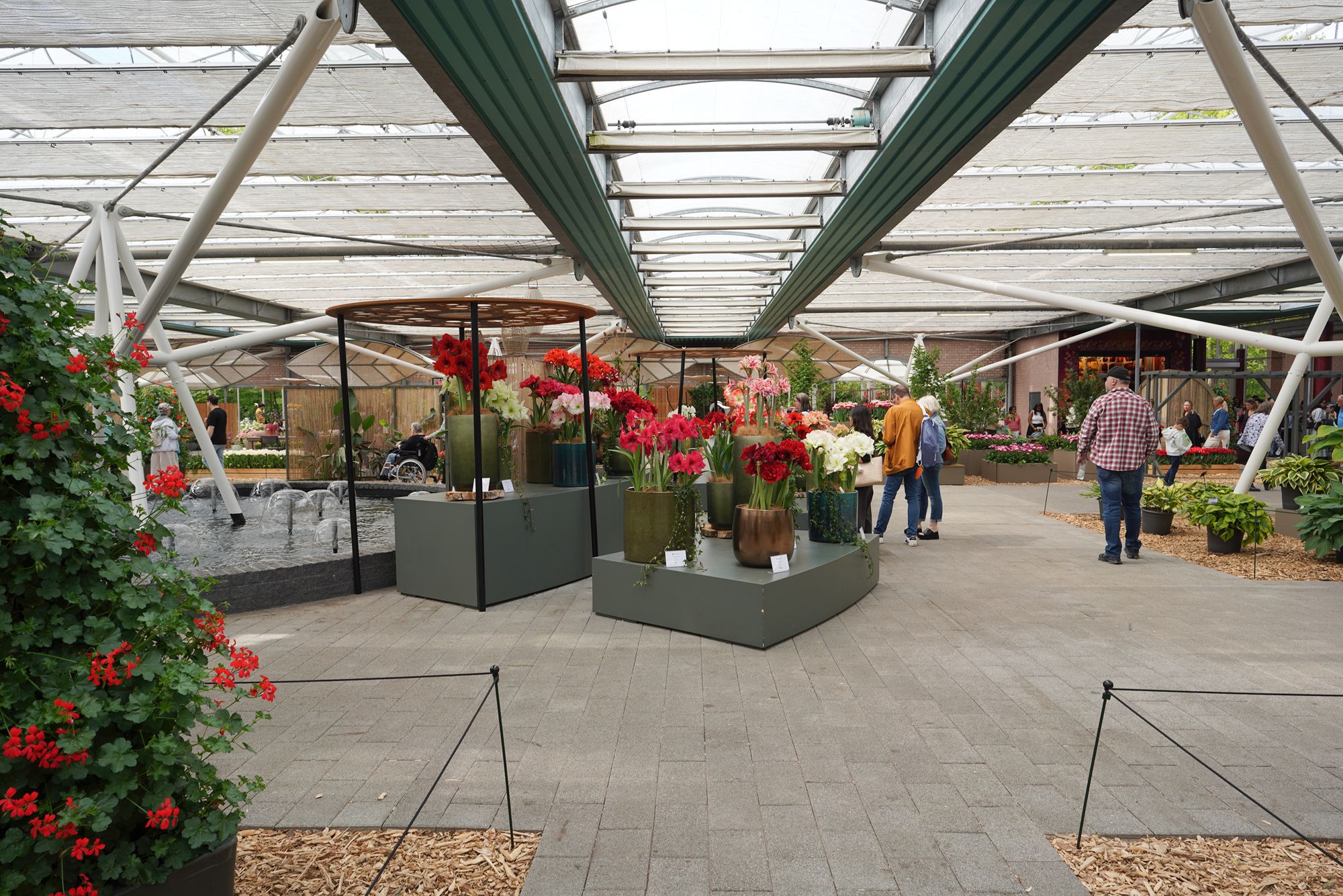Tulip Garden II (91)