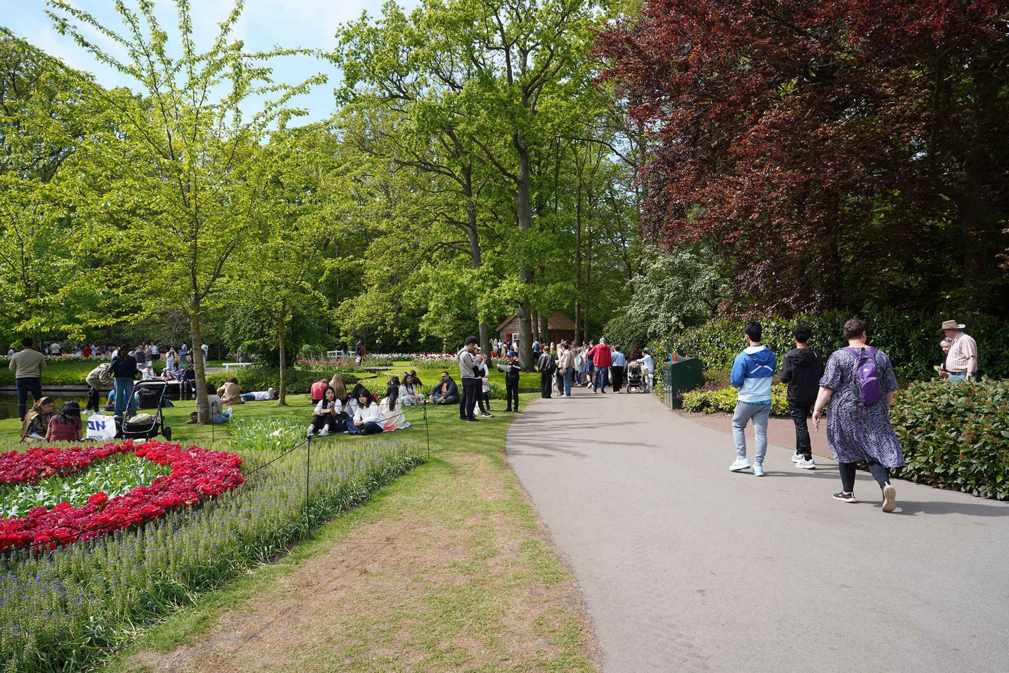 Tulip Garden II (98)