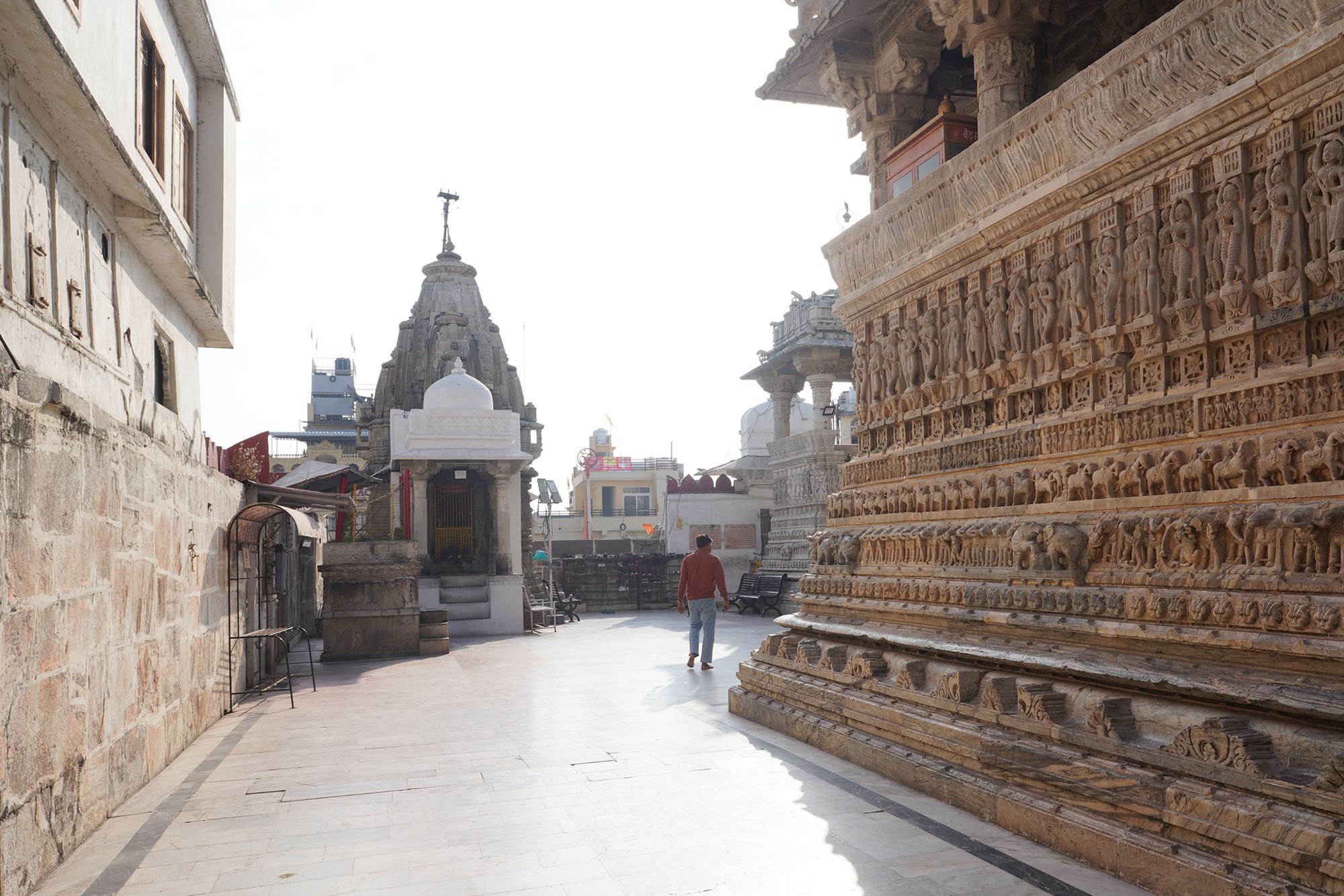 Udaipur City Walk and Jagdish Temple (11)