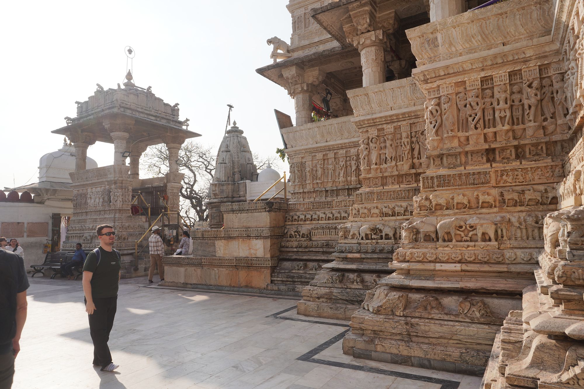 Udaipur City Walk and Jagdish Temple (14)