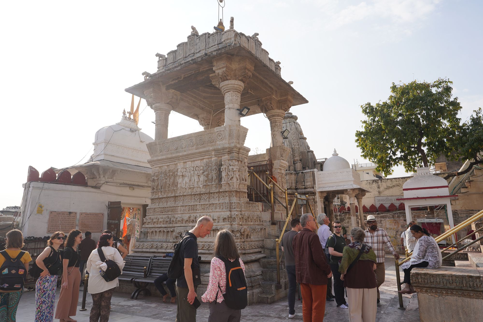 Udaipur City Walk and Jagdish Temple (17)