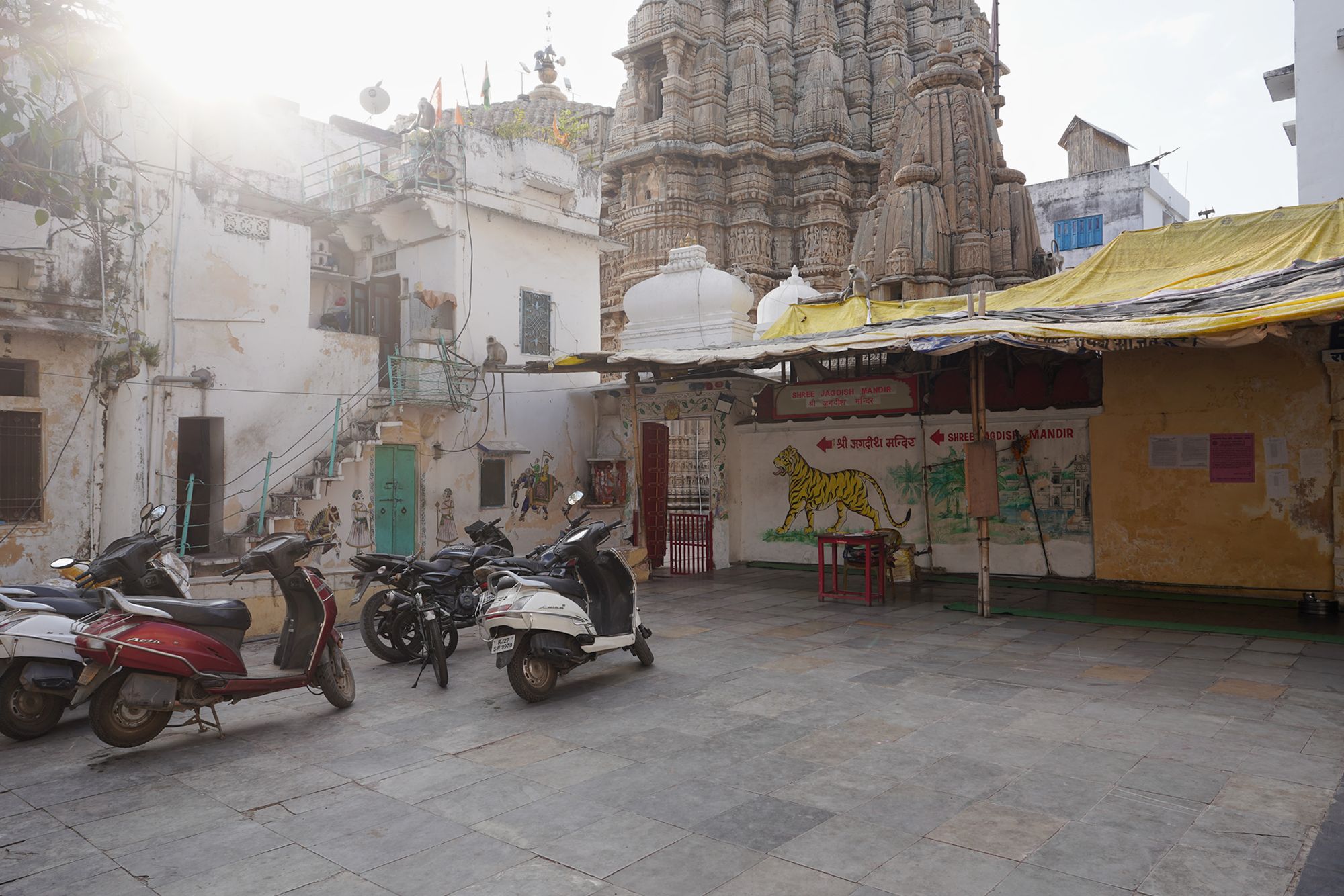 Udaipur City Walk and Jagdish Temple (2)
