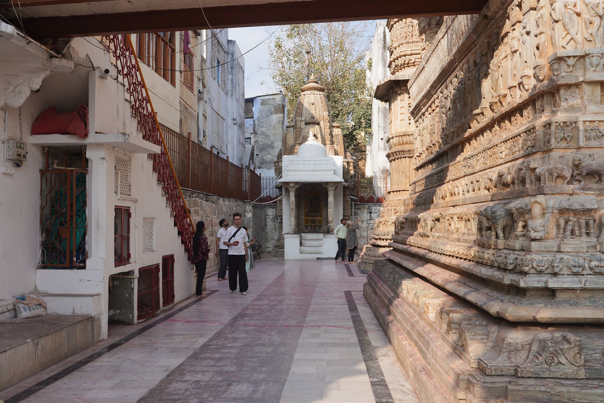 Udaipur City Walk and Jagdish Temple (20)